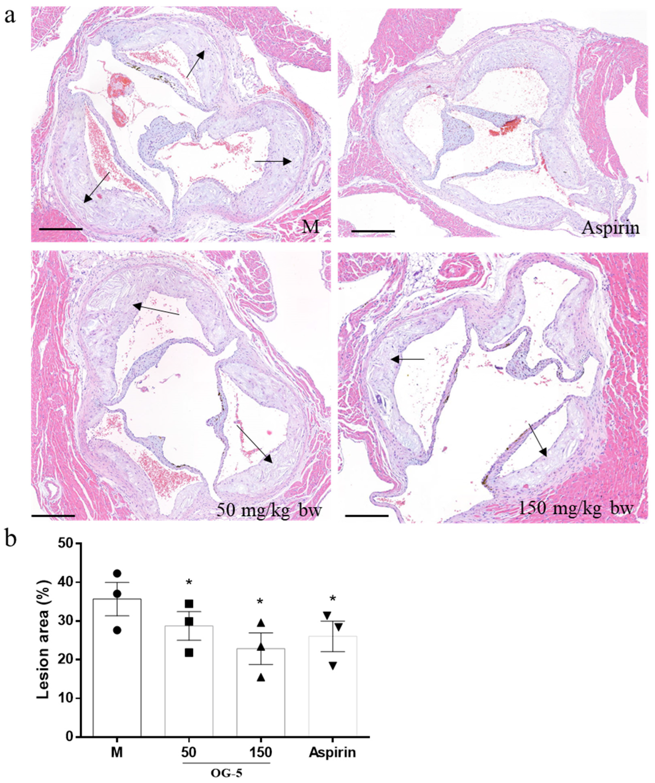 Nutrients 16 03752 g002 Nutrients 16 03752 g002