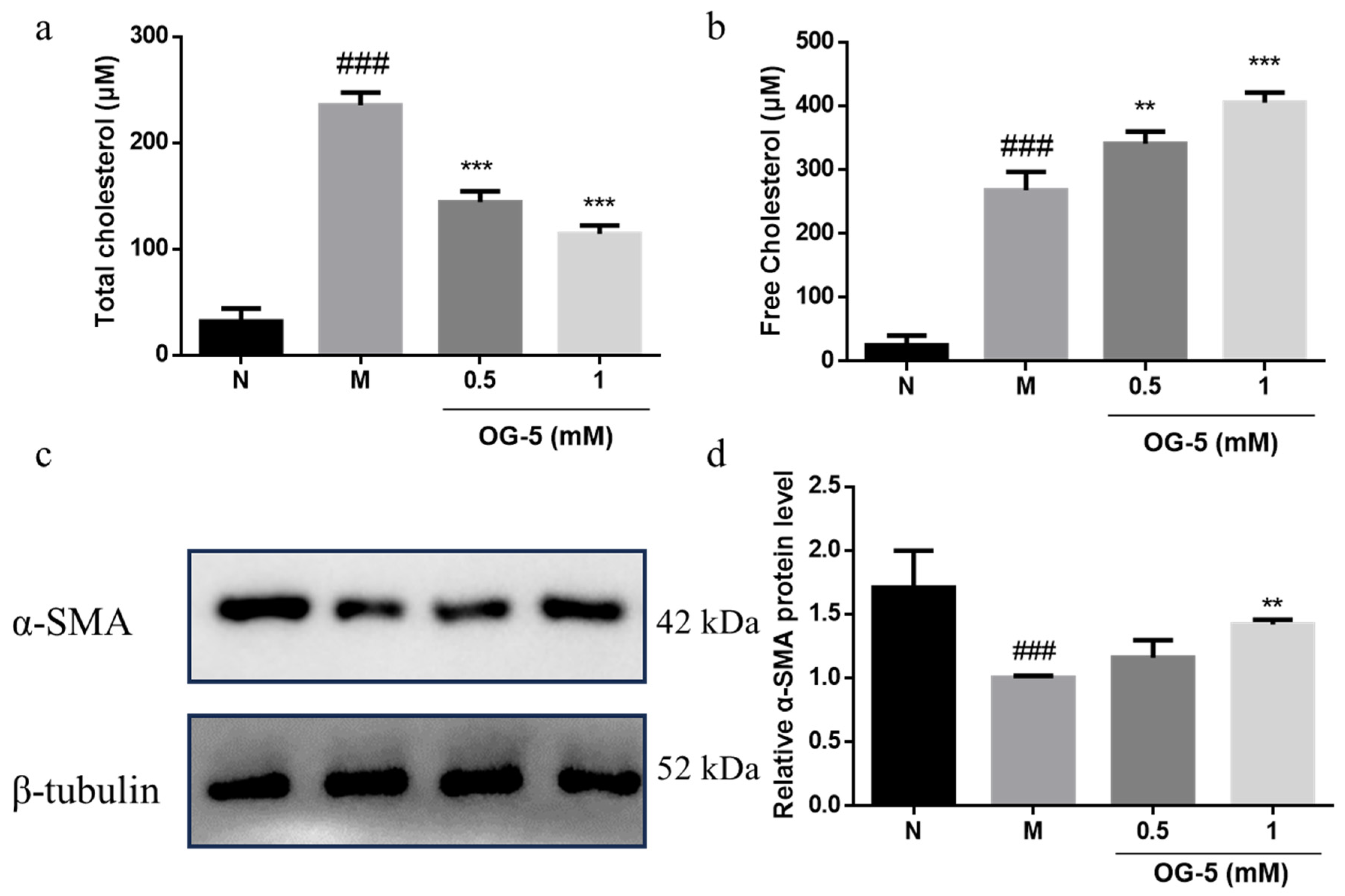 Nutrients 16 03752 g005 Nutrients 16 03752 g005
