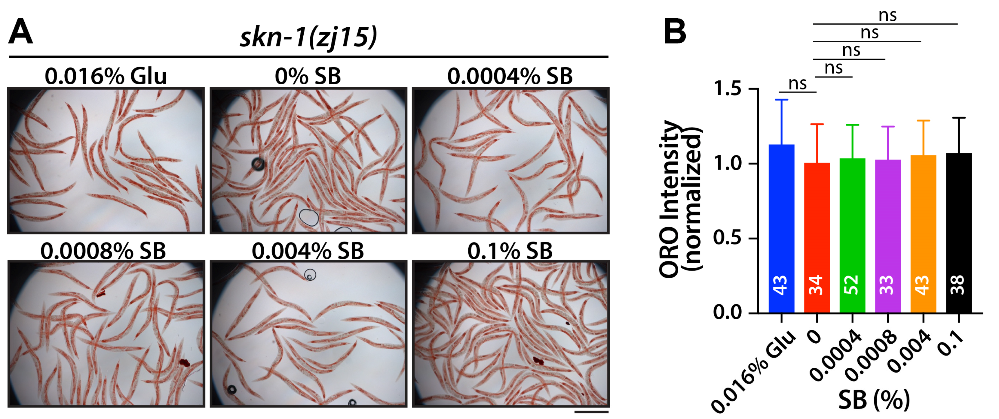 Nutrients 16 03753 g003