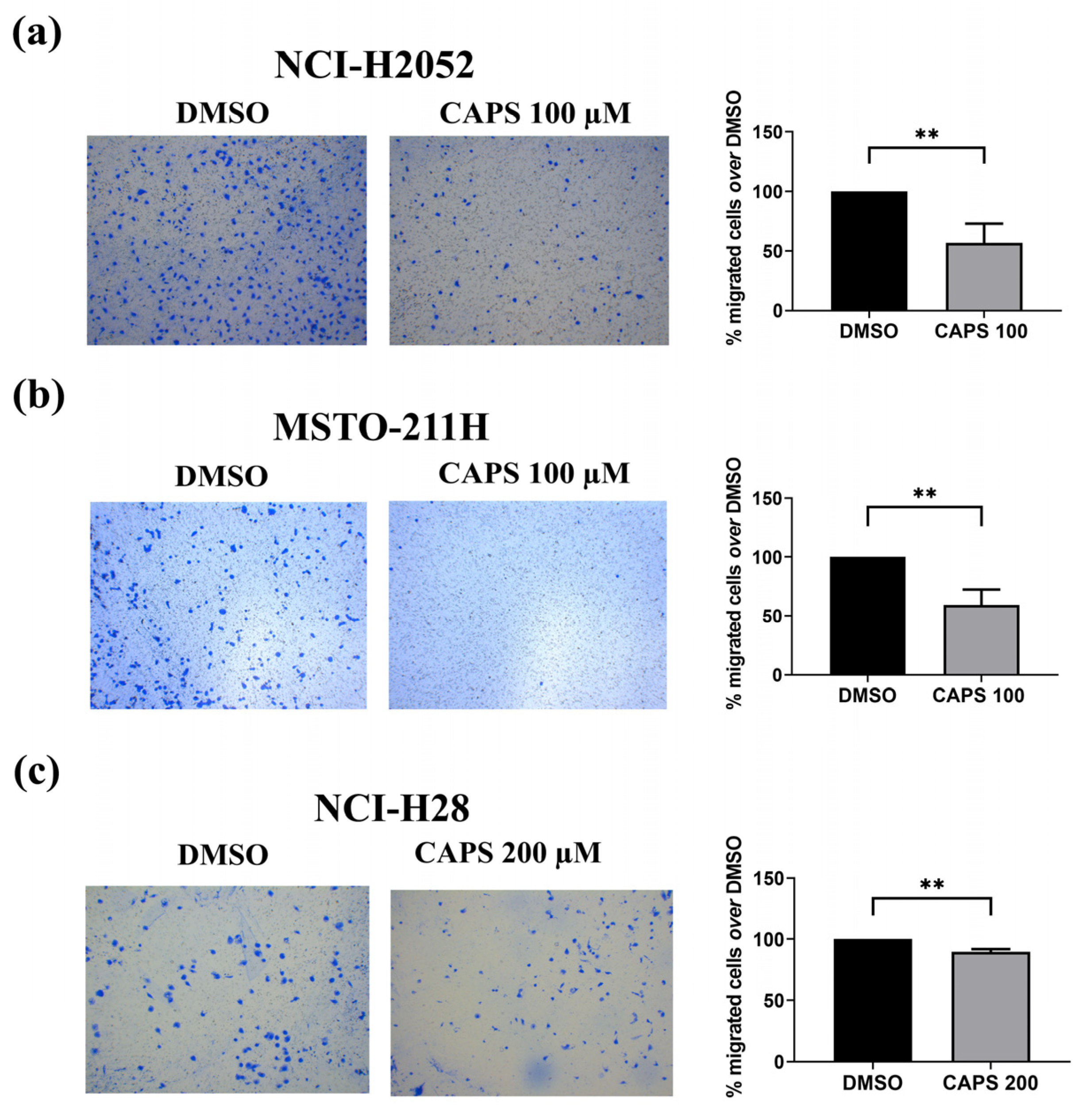 Nutrients 16 03758 g005