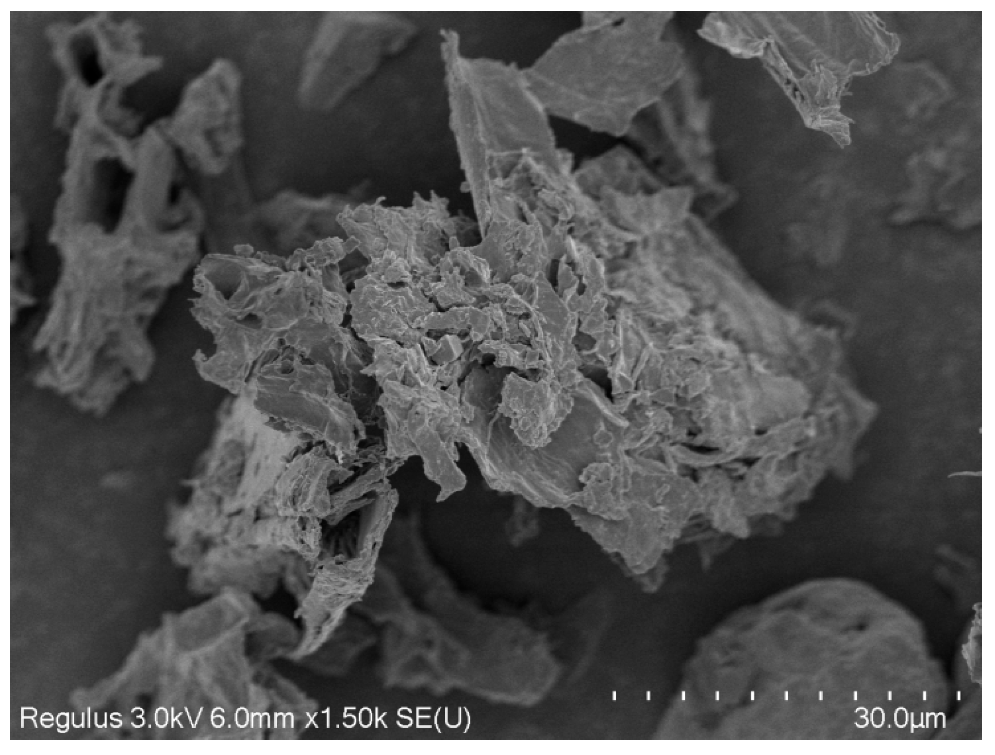 Nutrients 16 03822 g001