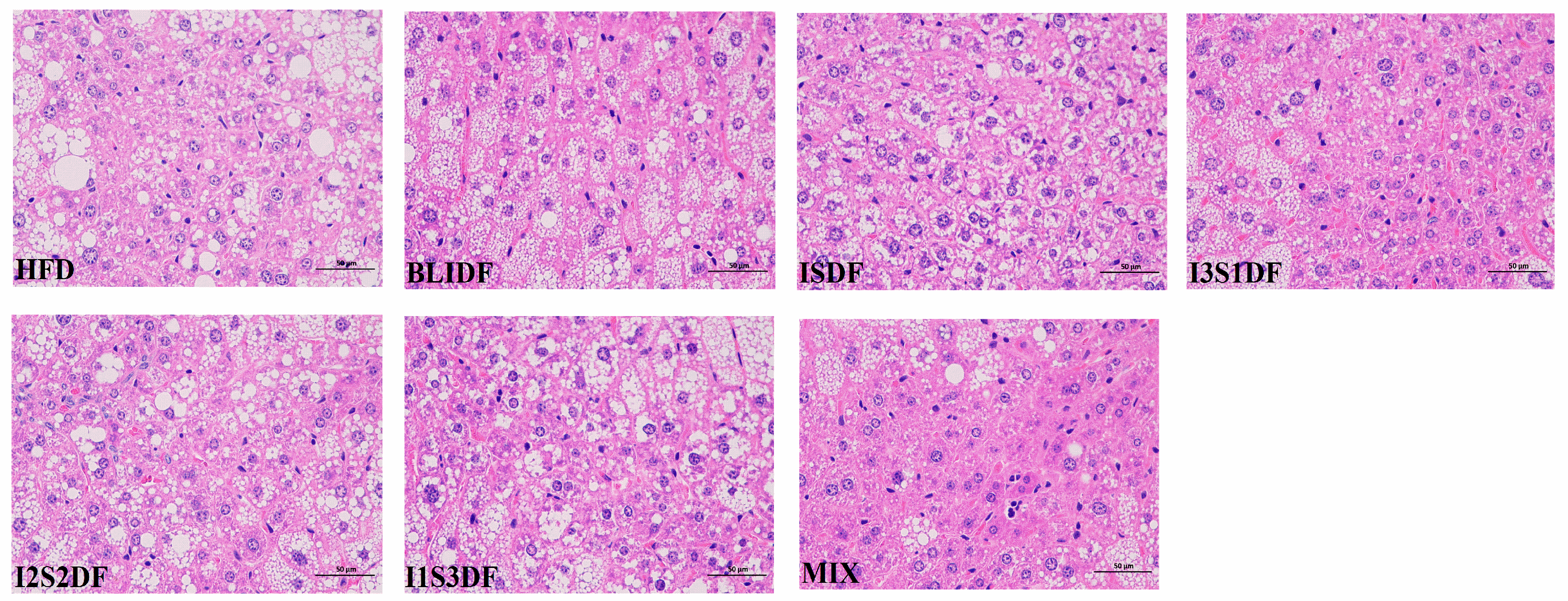 Nutrients 16 03822 g011