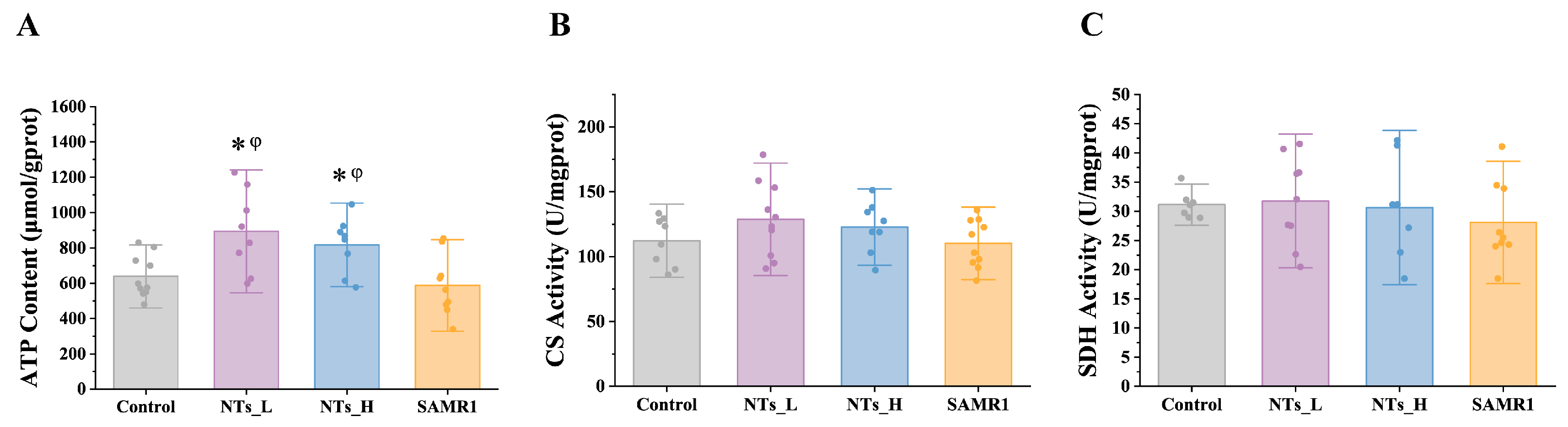 Nutrients 16 03851 g004 Nutrients 16 03851 g004