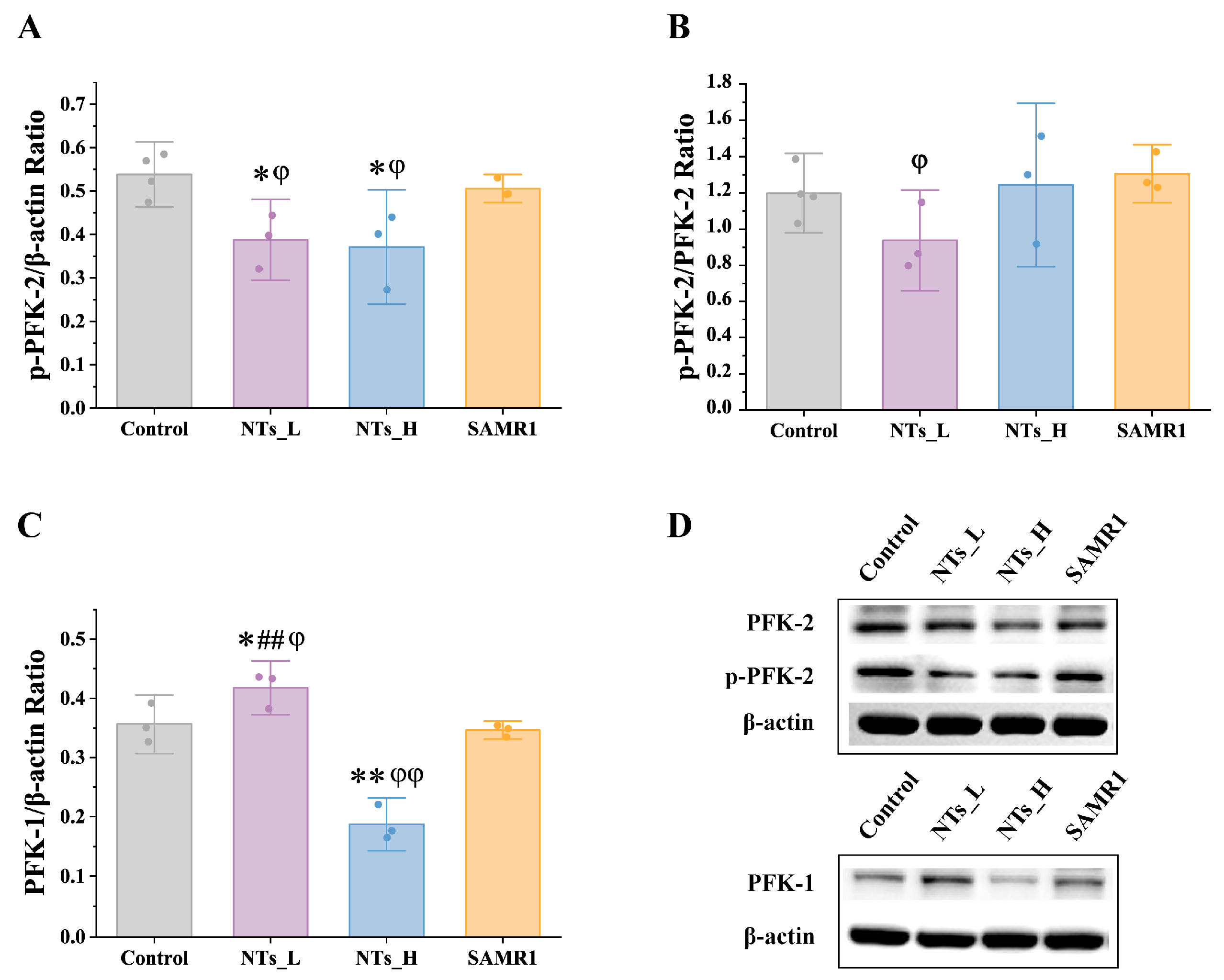 Nutrients 16 03851 g010 Nutrients 16 03851 g010
