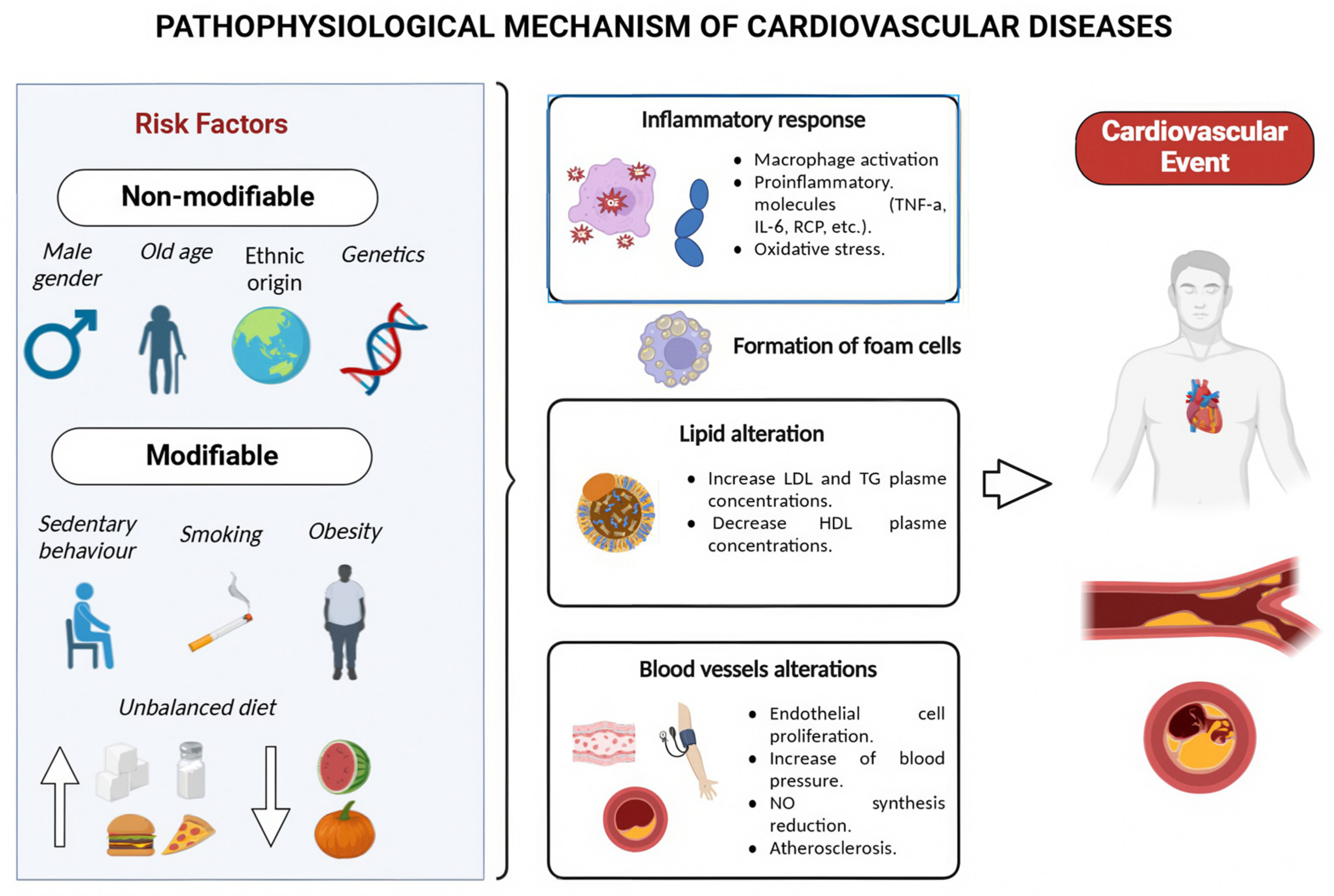 Nutrients 16 03859 g001 Nutrients 16 03859 g001
