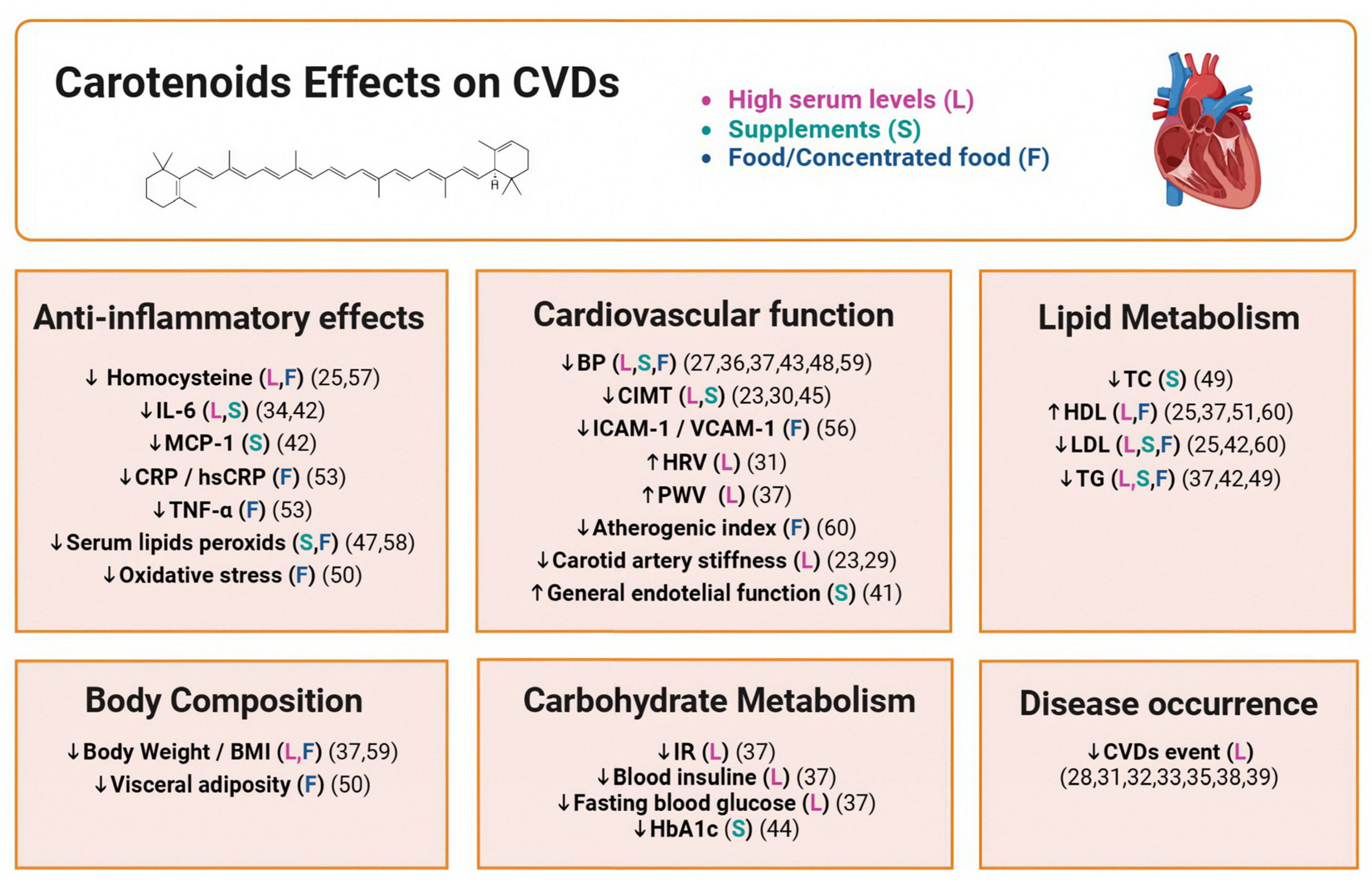 Nutrients 16 03859 g004 Nutrients 16 03859 g004