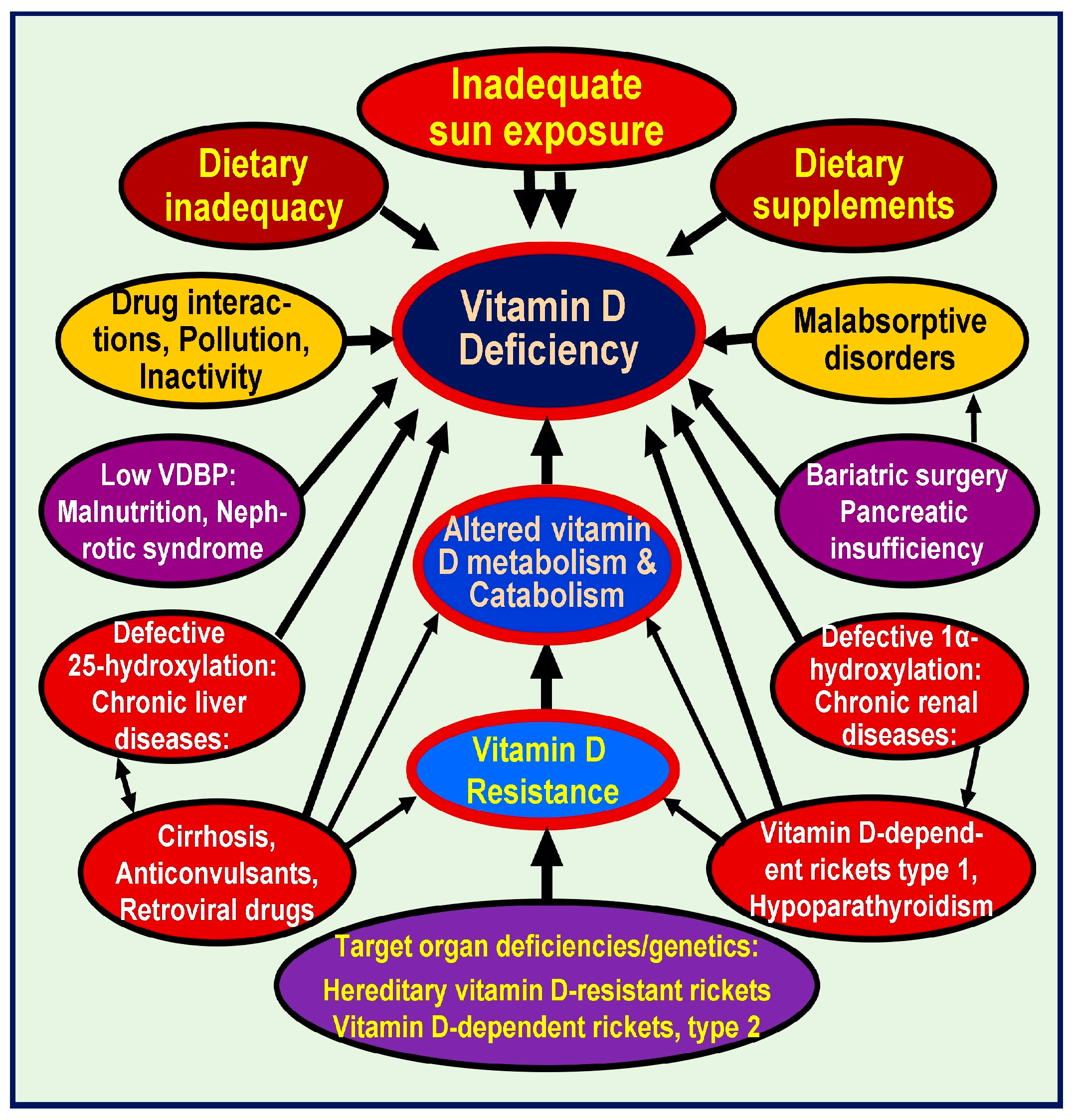 Nutrients 16 03969 g001 Nutrients 16 03969 g001