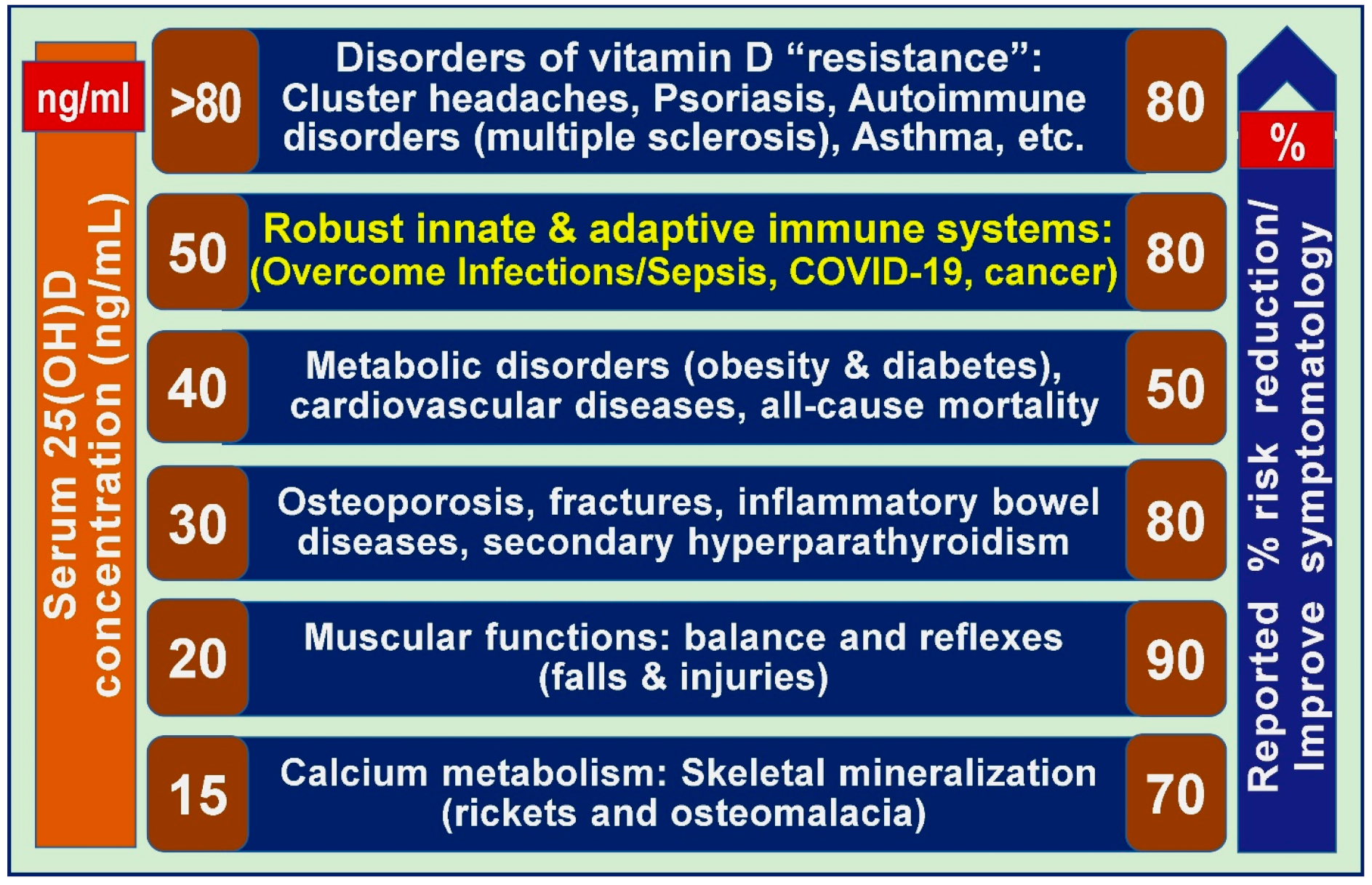 Nutrients 16 03969 g002 Nutrients 16 03969 g002