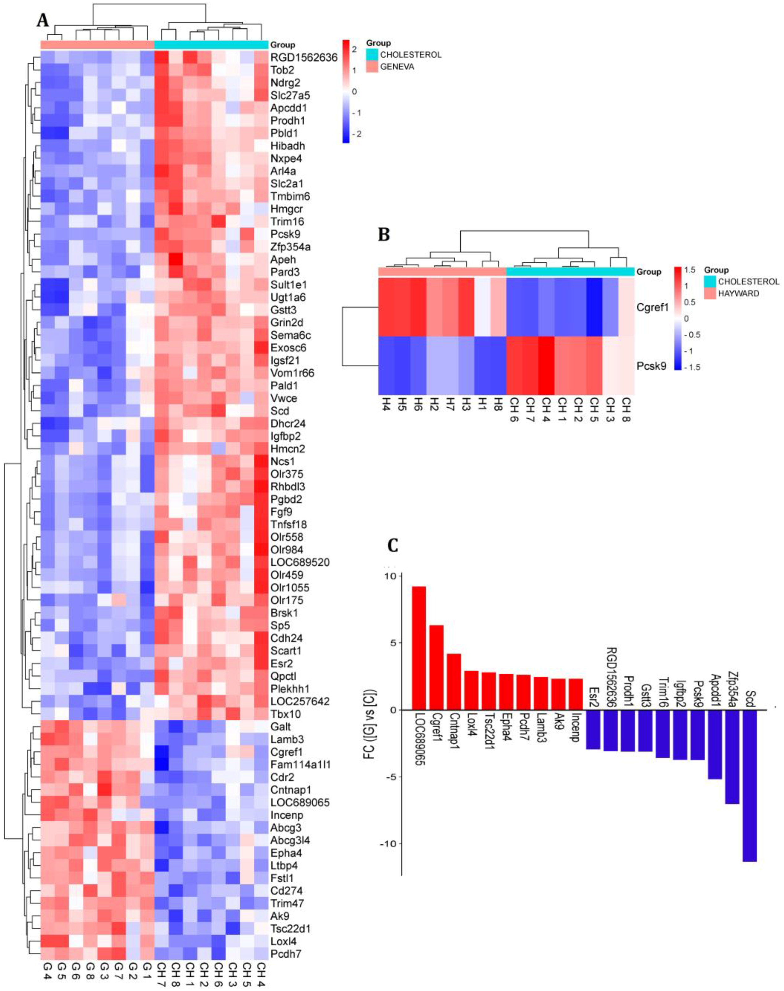 Nutrients 16 03999 g002