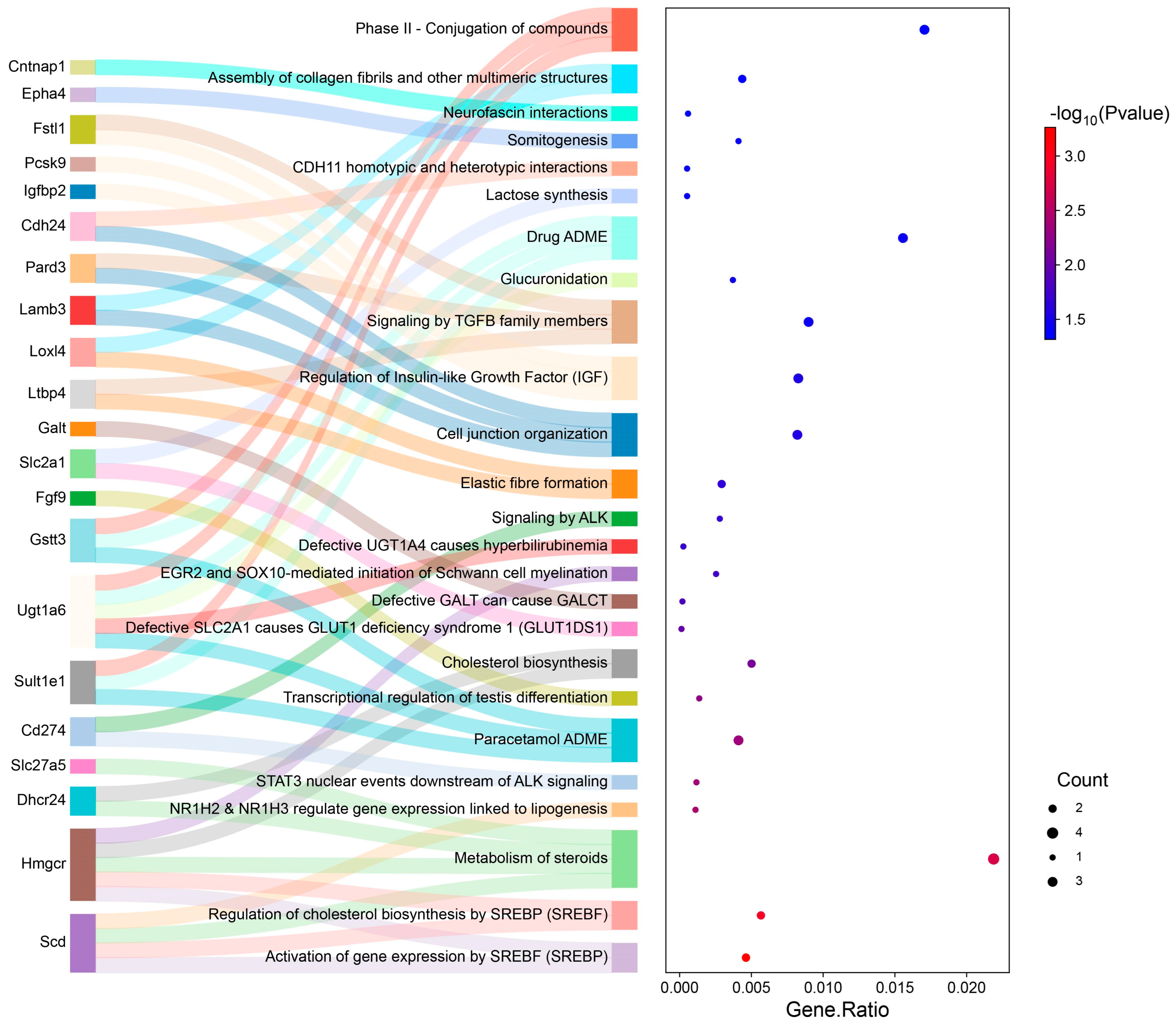 Nutrients 16 03999 g006