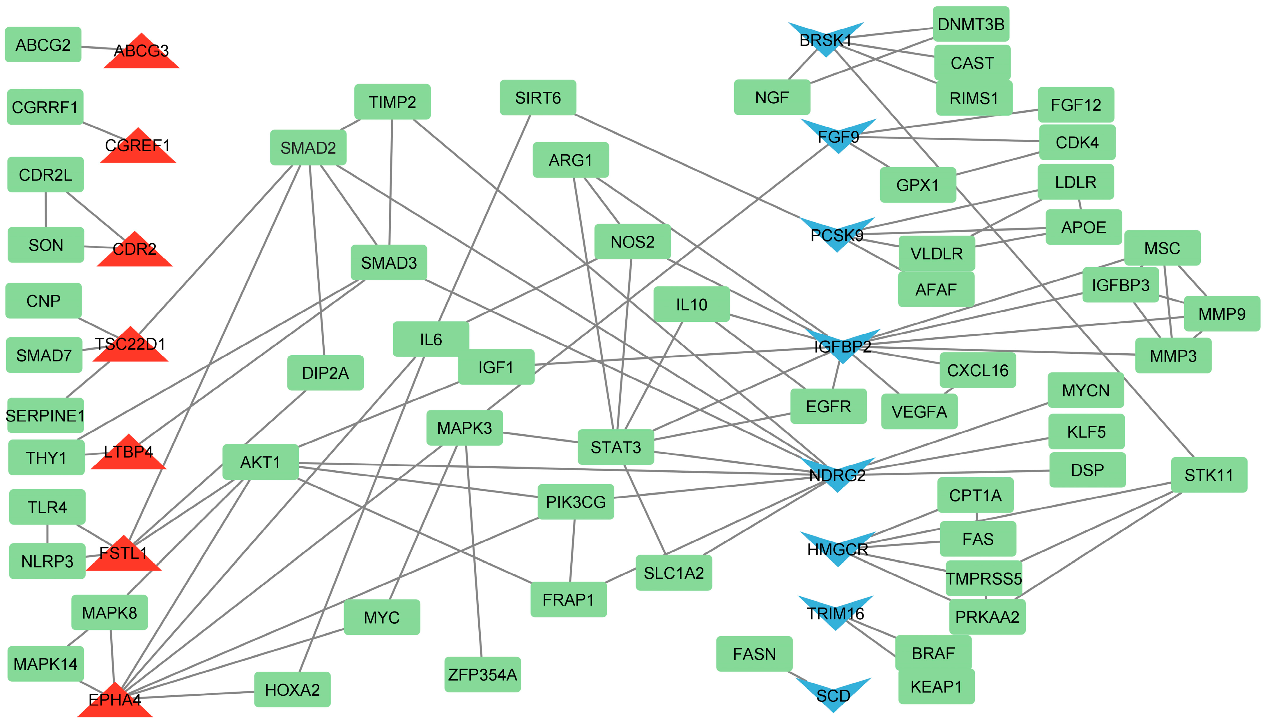 Nutrients 16 03999 g008