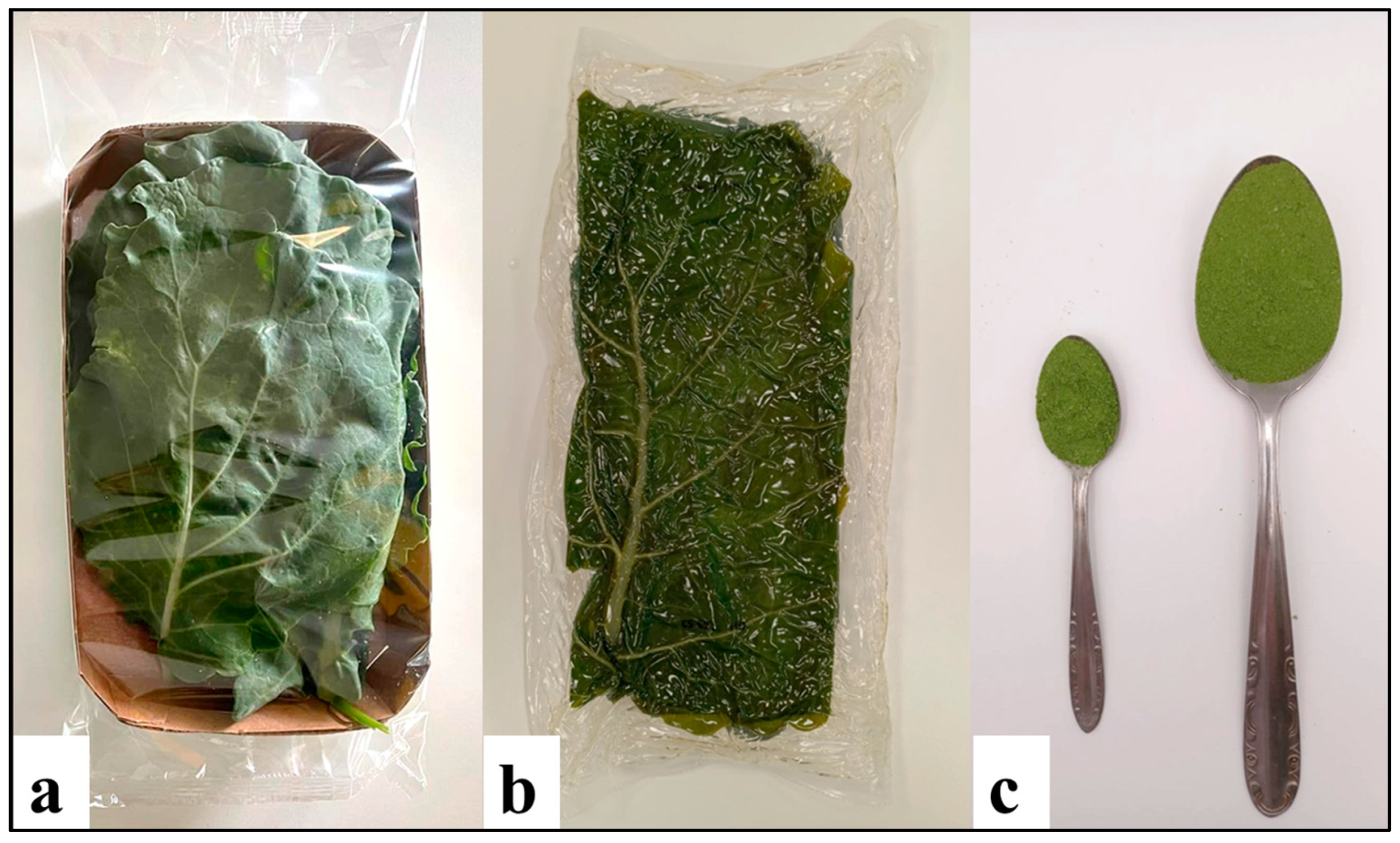 Nutrients 16 04015 g001