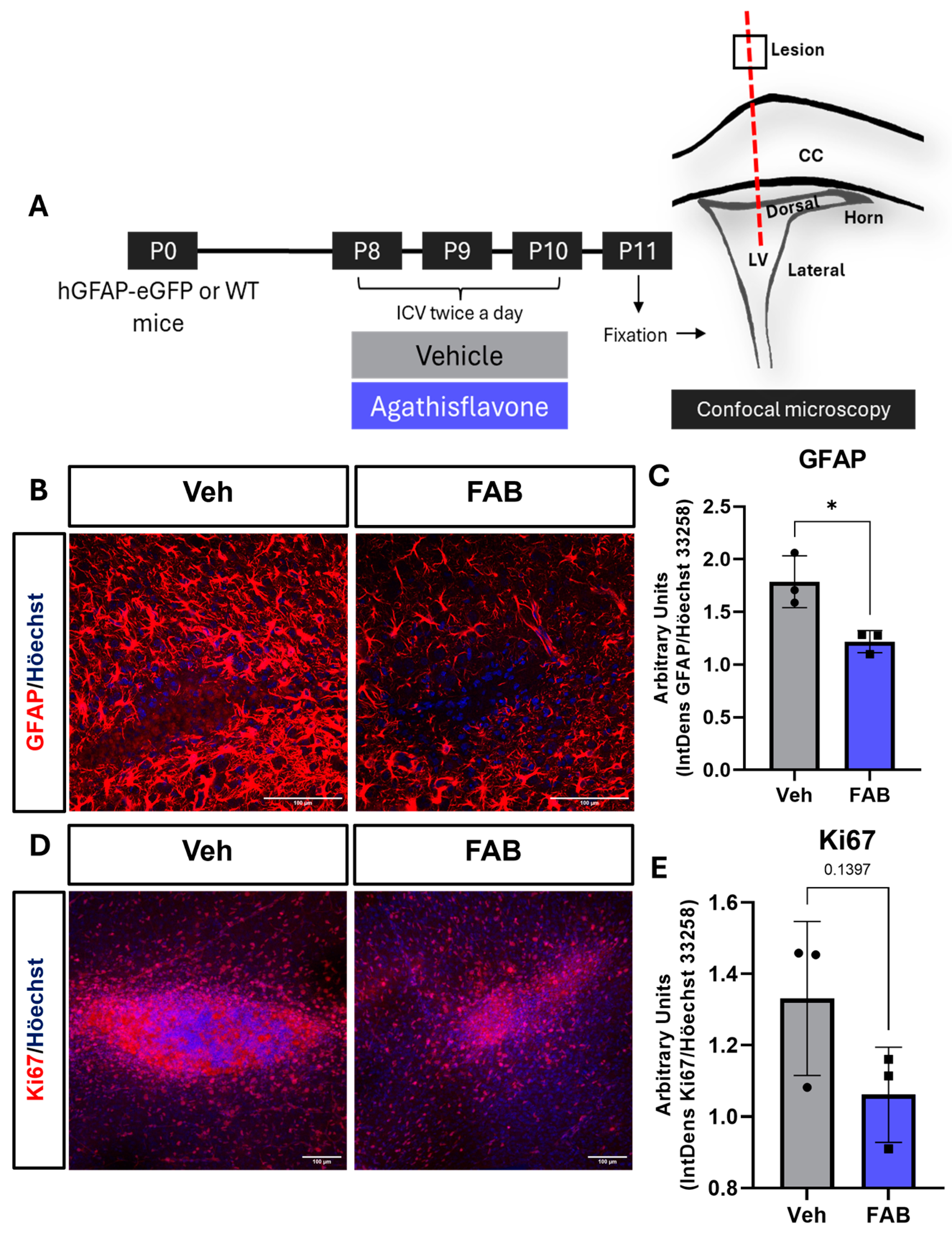 Nutrients 16 04053 g001