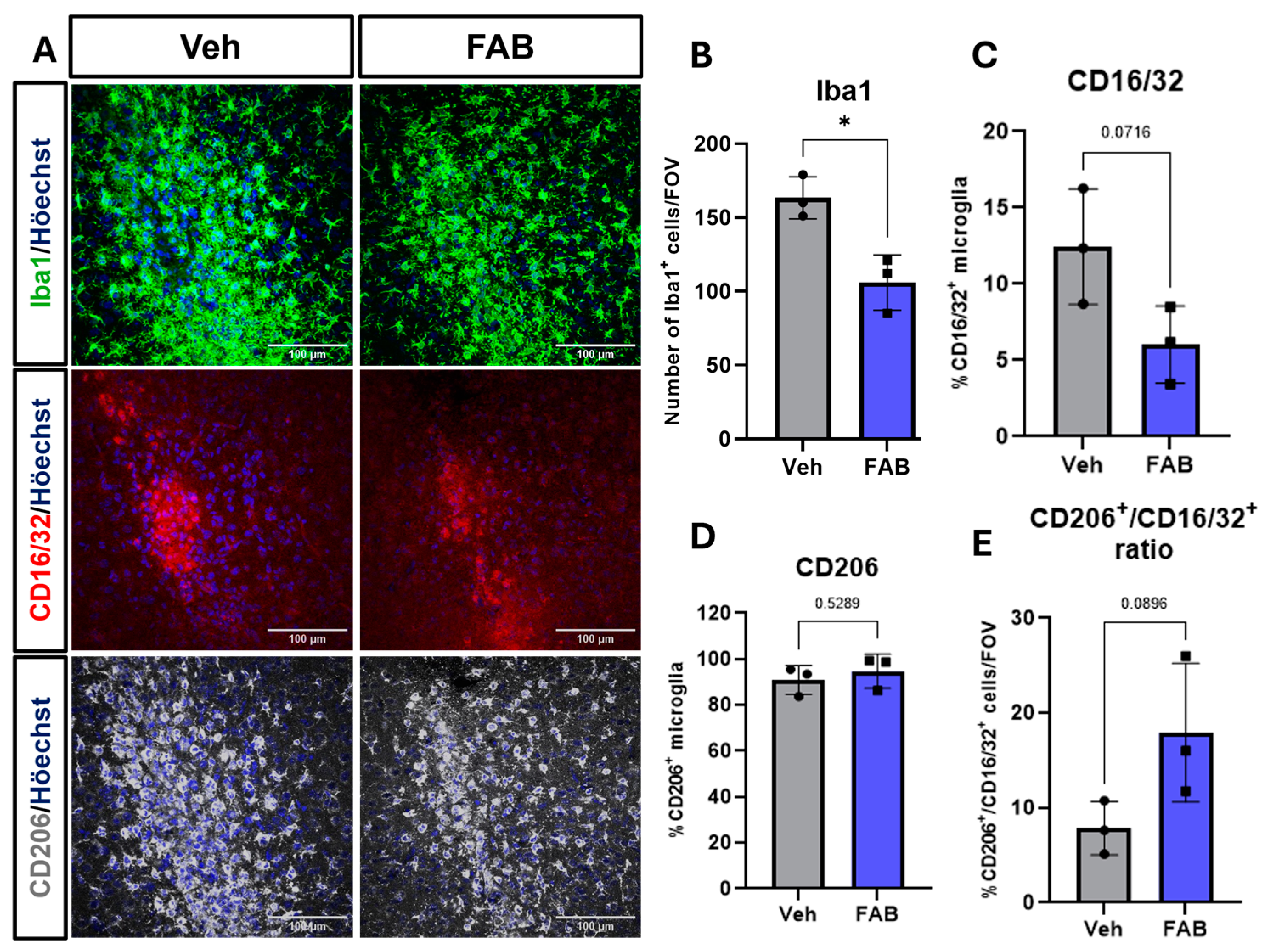 Nutrients 16 04053 g002