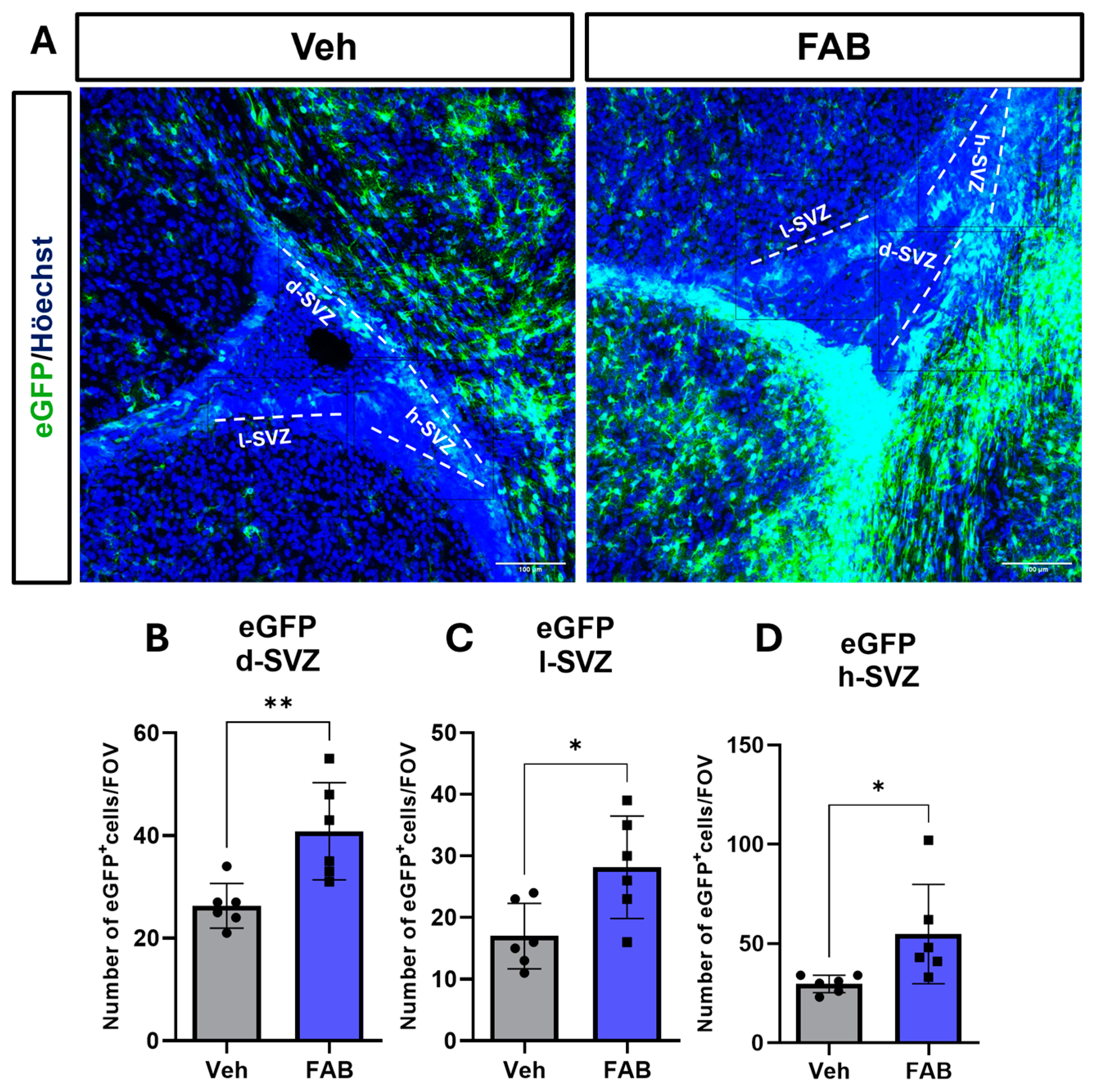 Nutrients 16 04053 g004