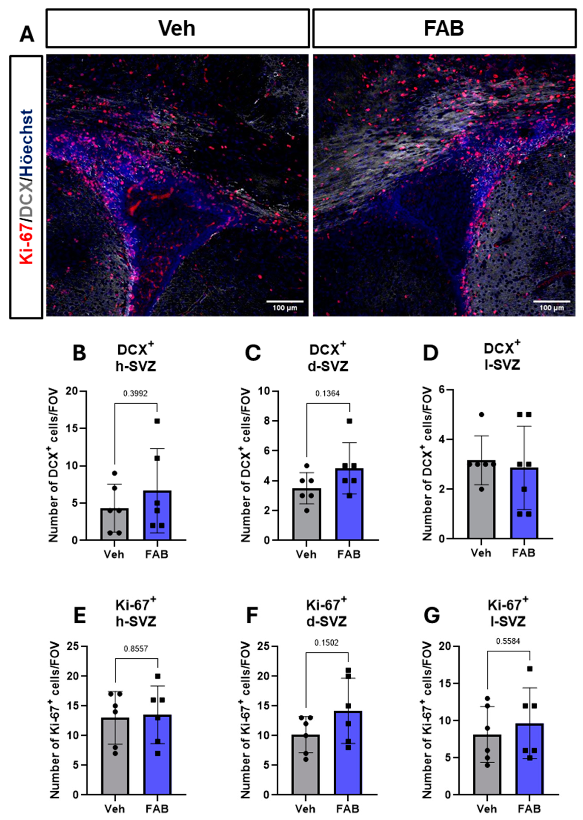 Nutrients 16 04053 g005