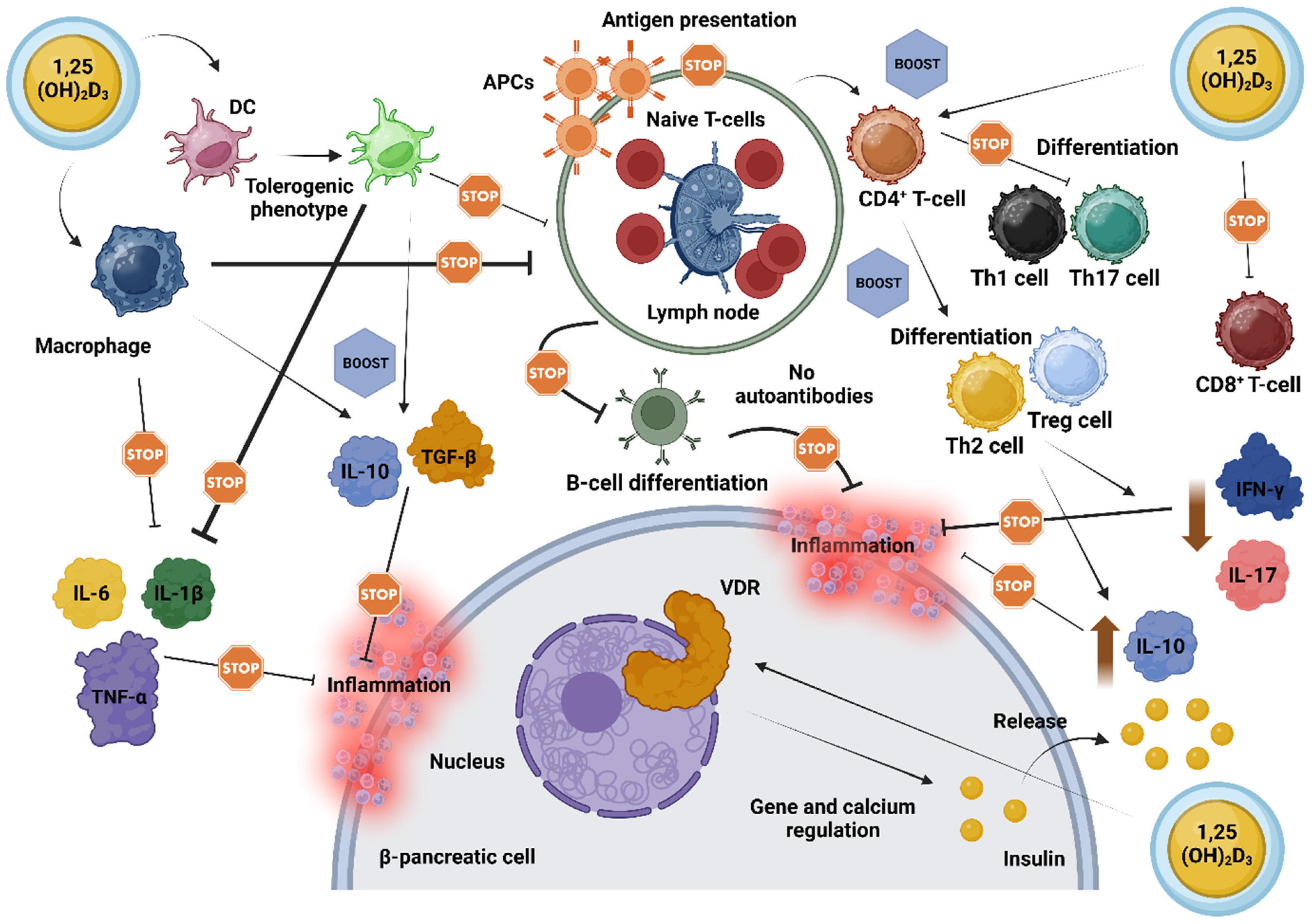 Nutrients 16 04072 g002 Nutrients 16 04072 g002