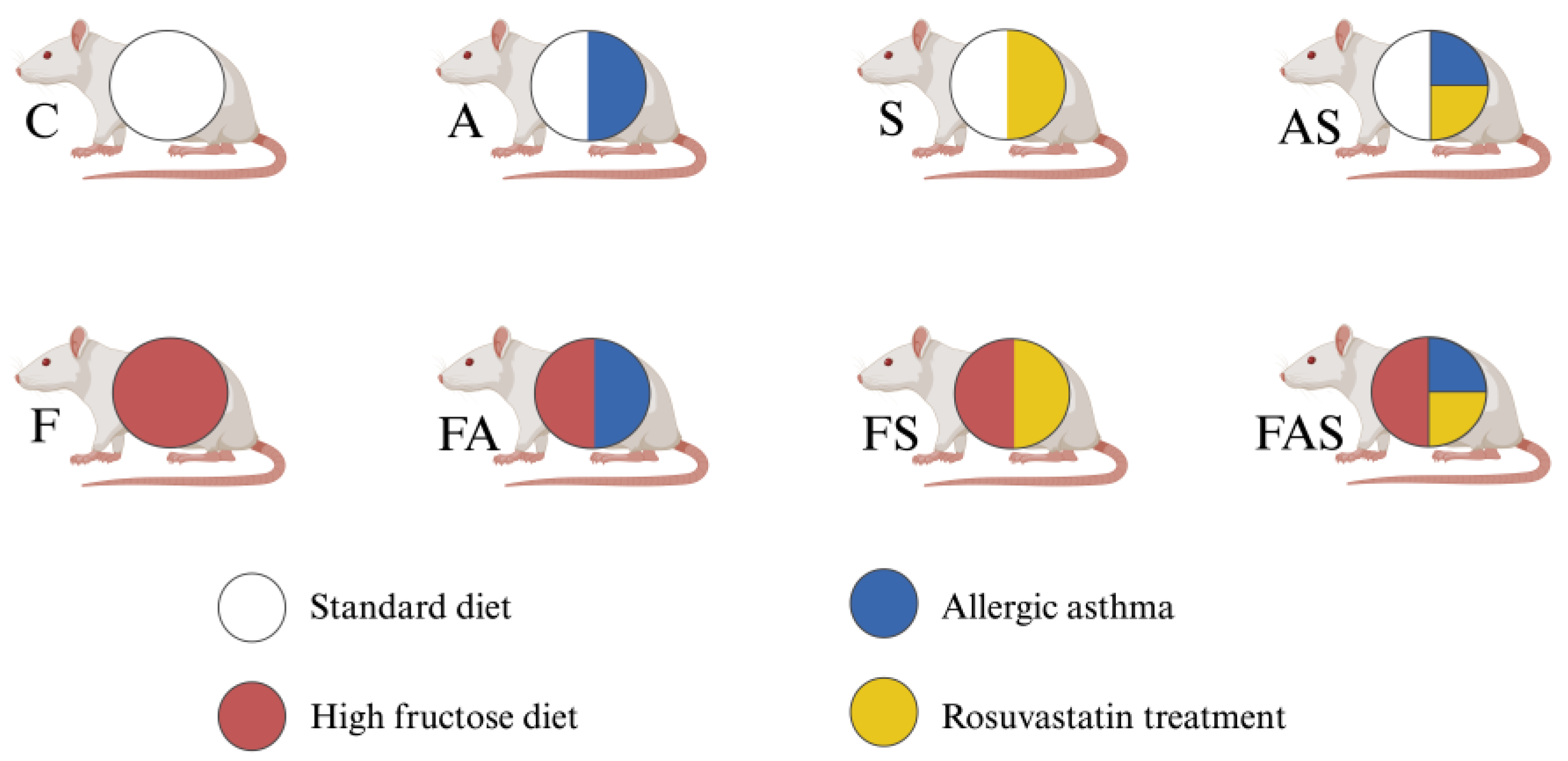 Nutrients 16 04104 g001