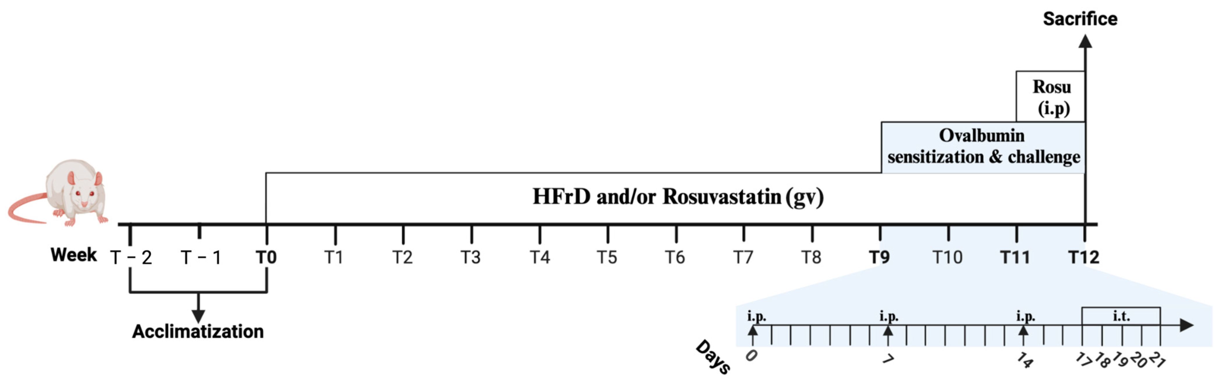 Nutrients 16 04104 g002