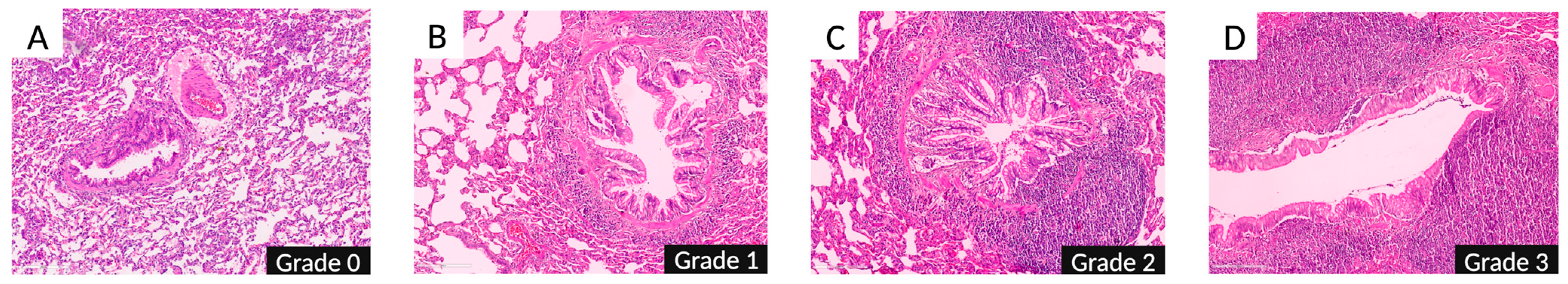Nutrients 16 04104 g008