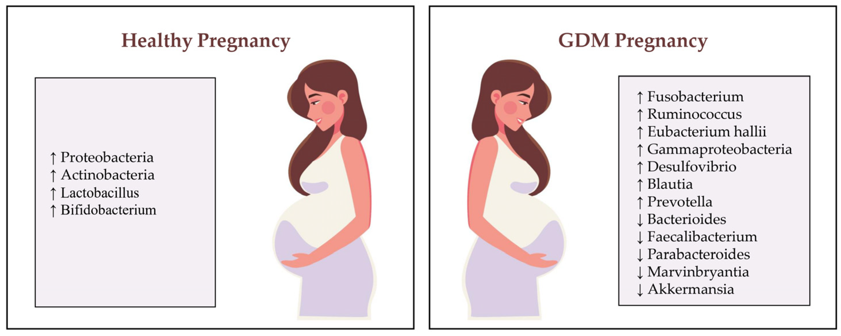 Nutrients 16 04131 g002