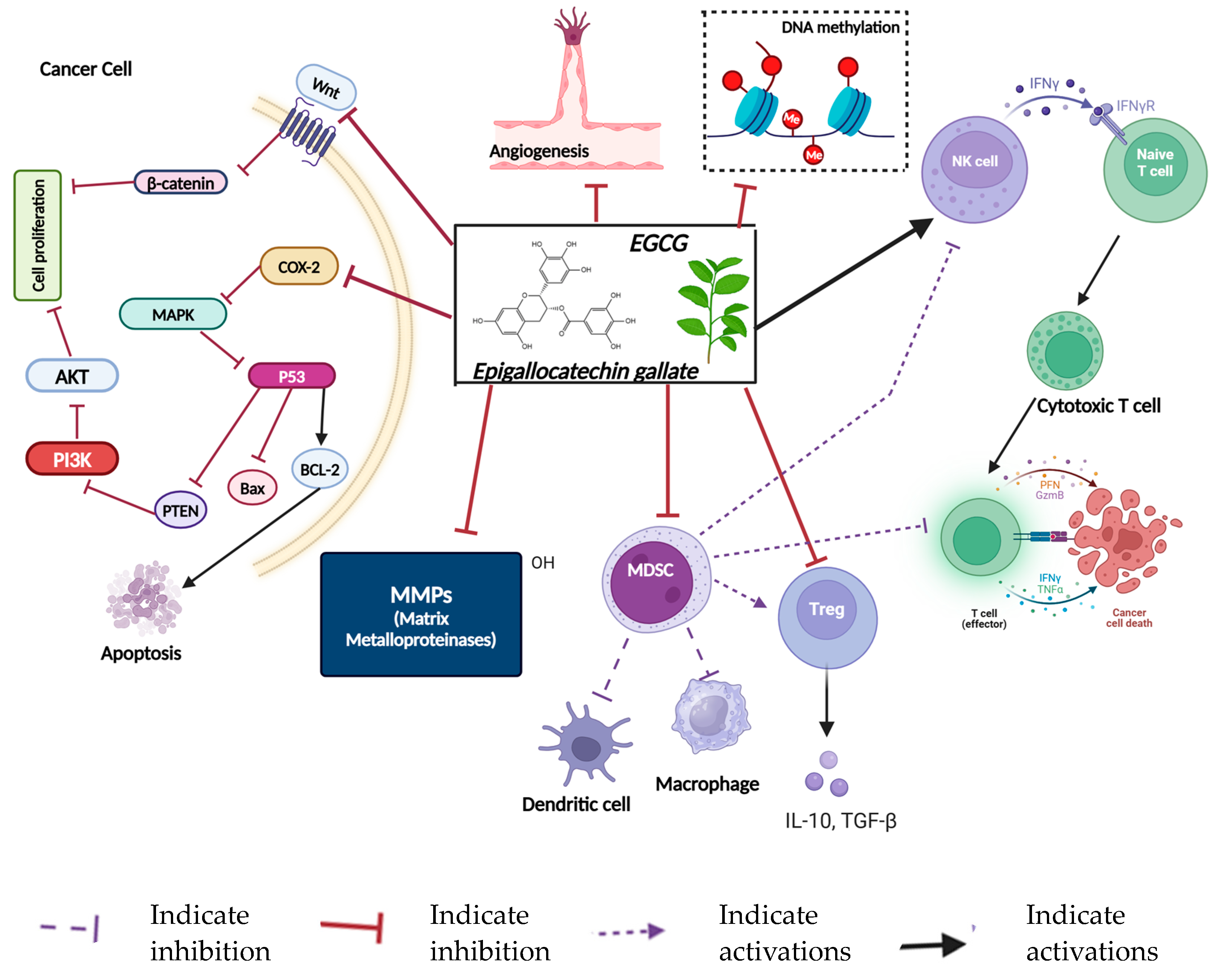 Nutrients 16 04143 g004