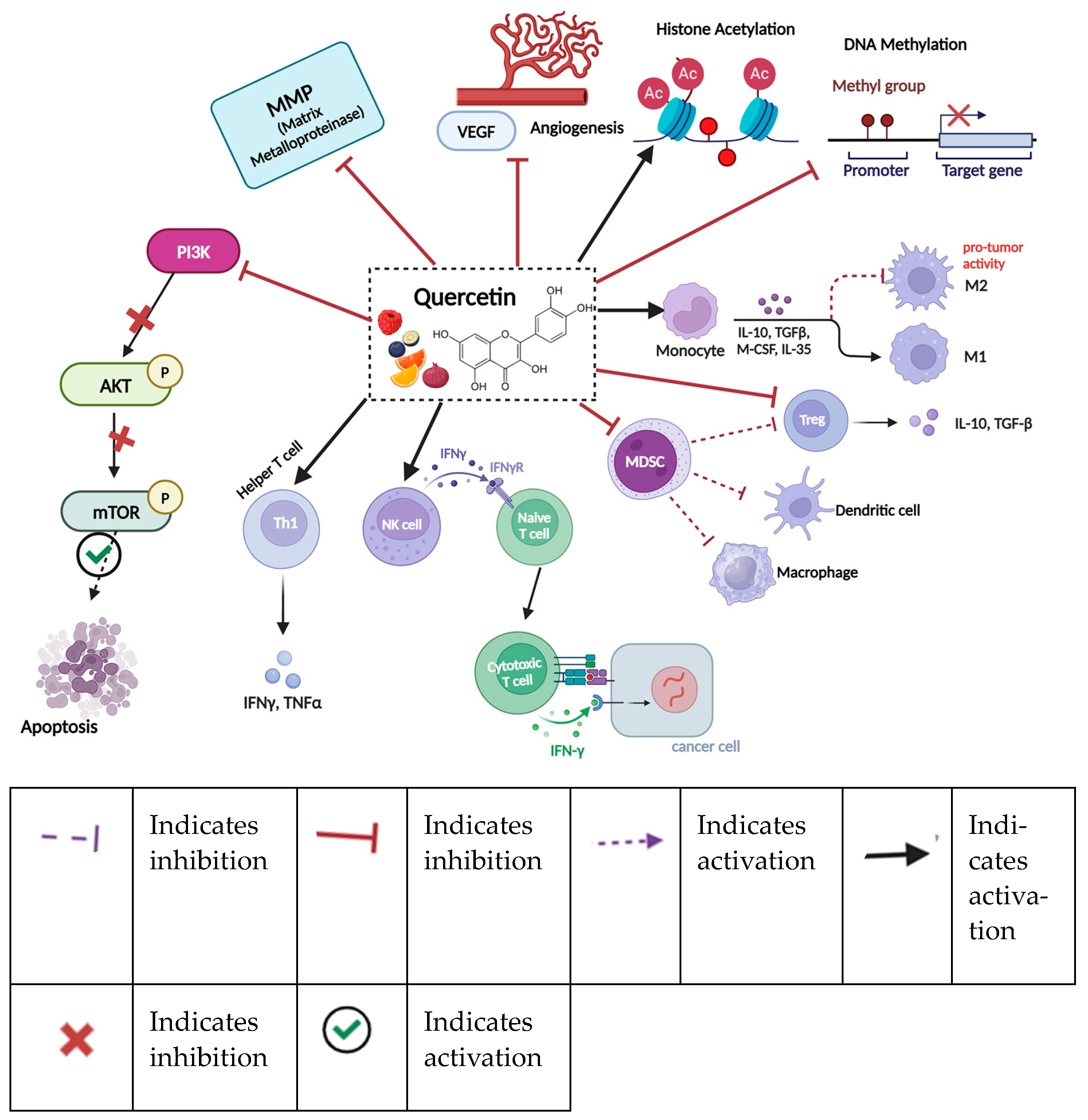 Nutrients 16 04143 g007