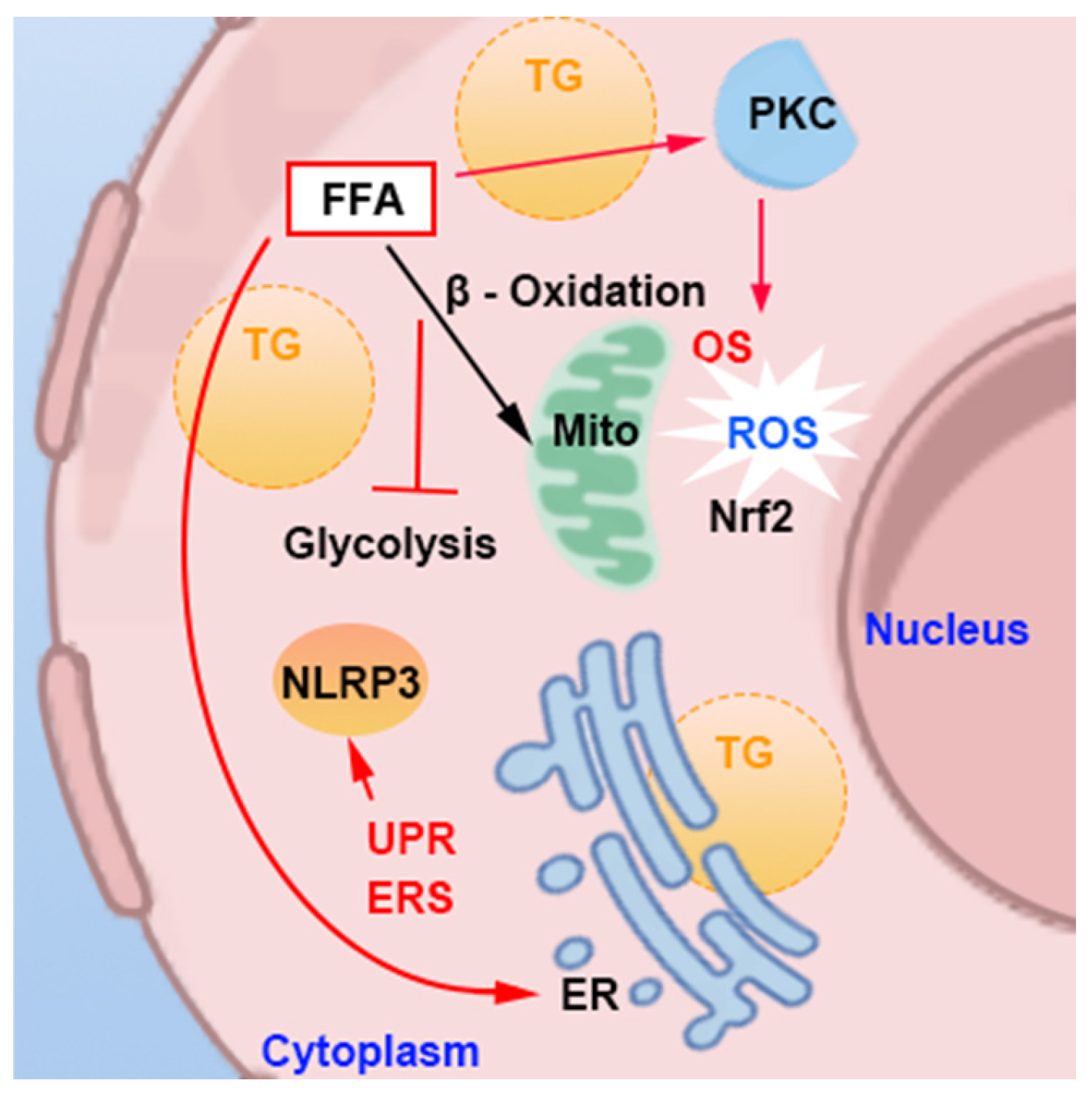 Nutrients 16 04208 g004