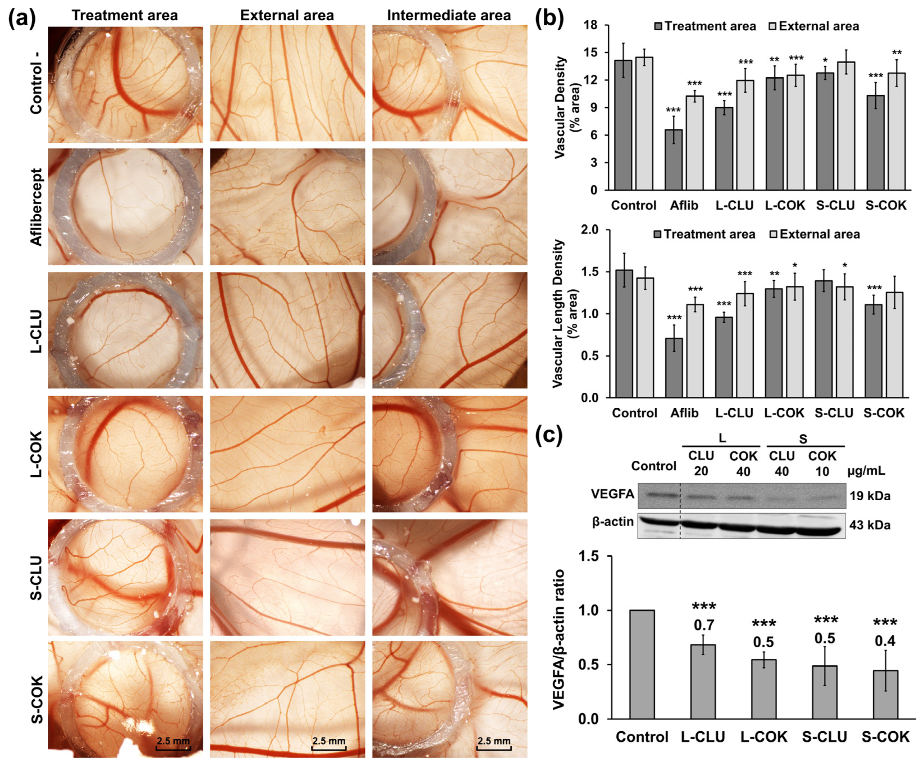 Nutrients 16 04233 g005