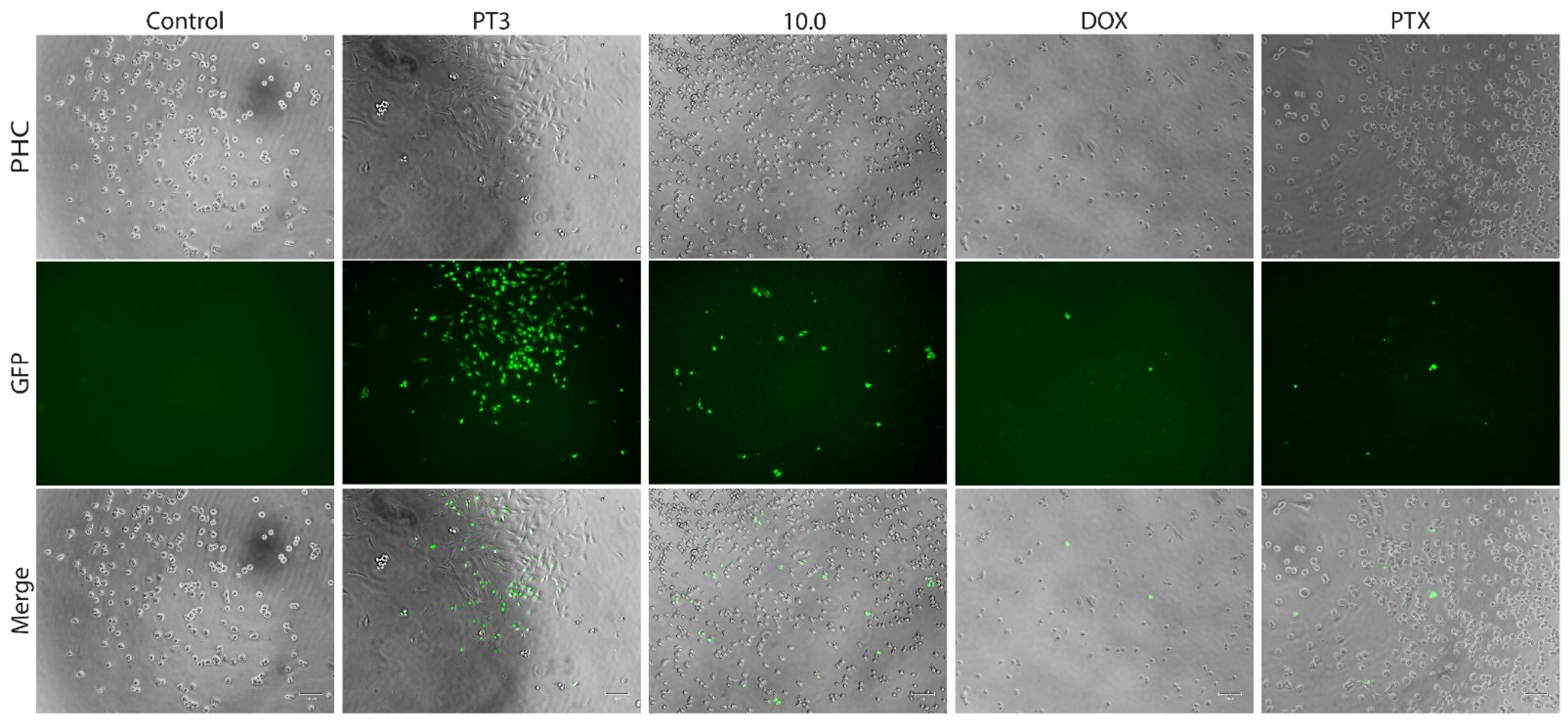 Nutrients 16 04274 g007