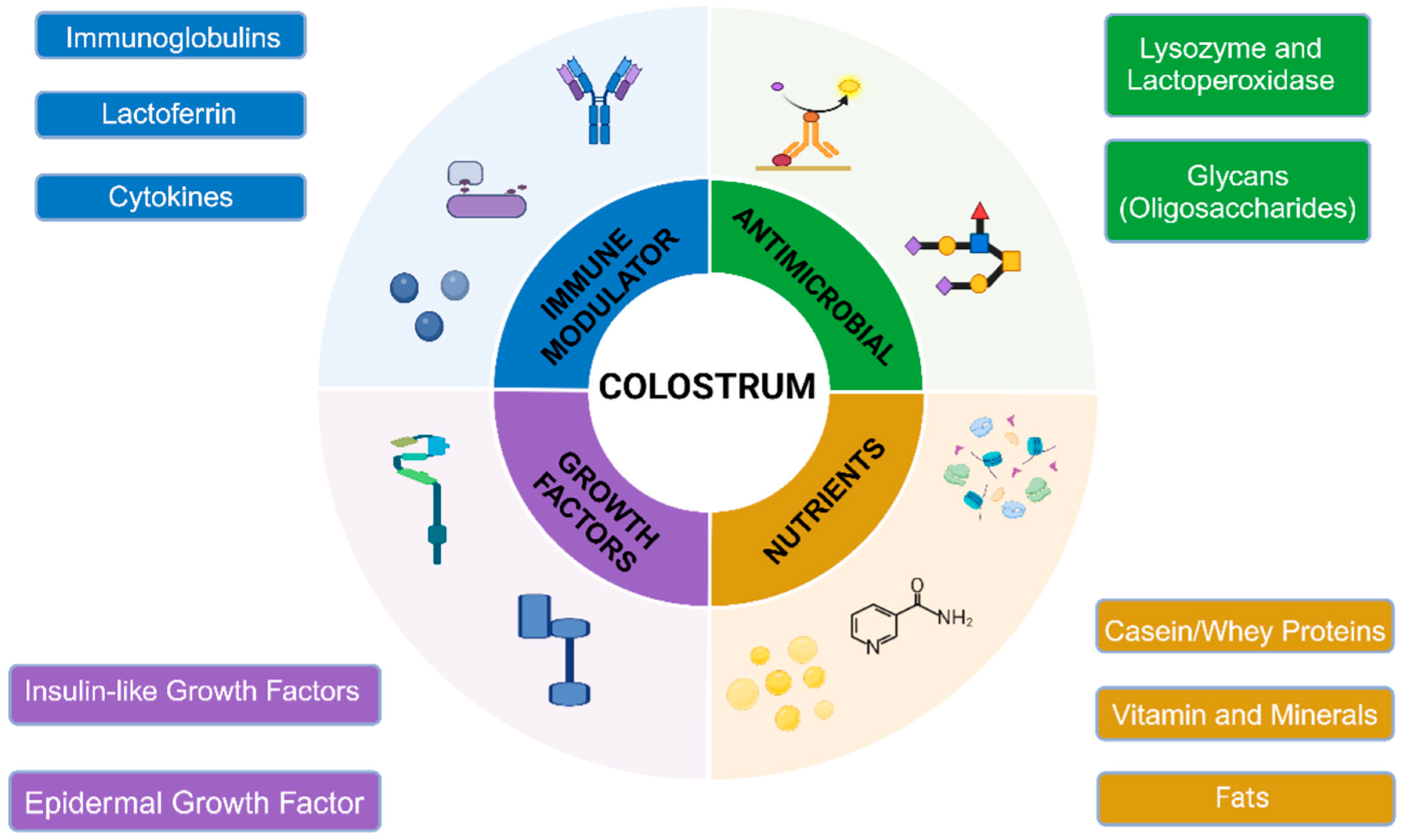 Nutrients 16 04305 g001