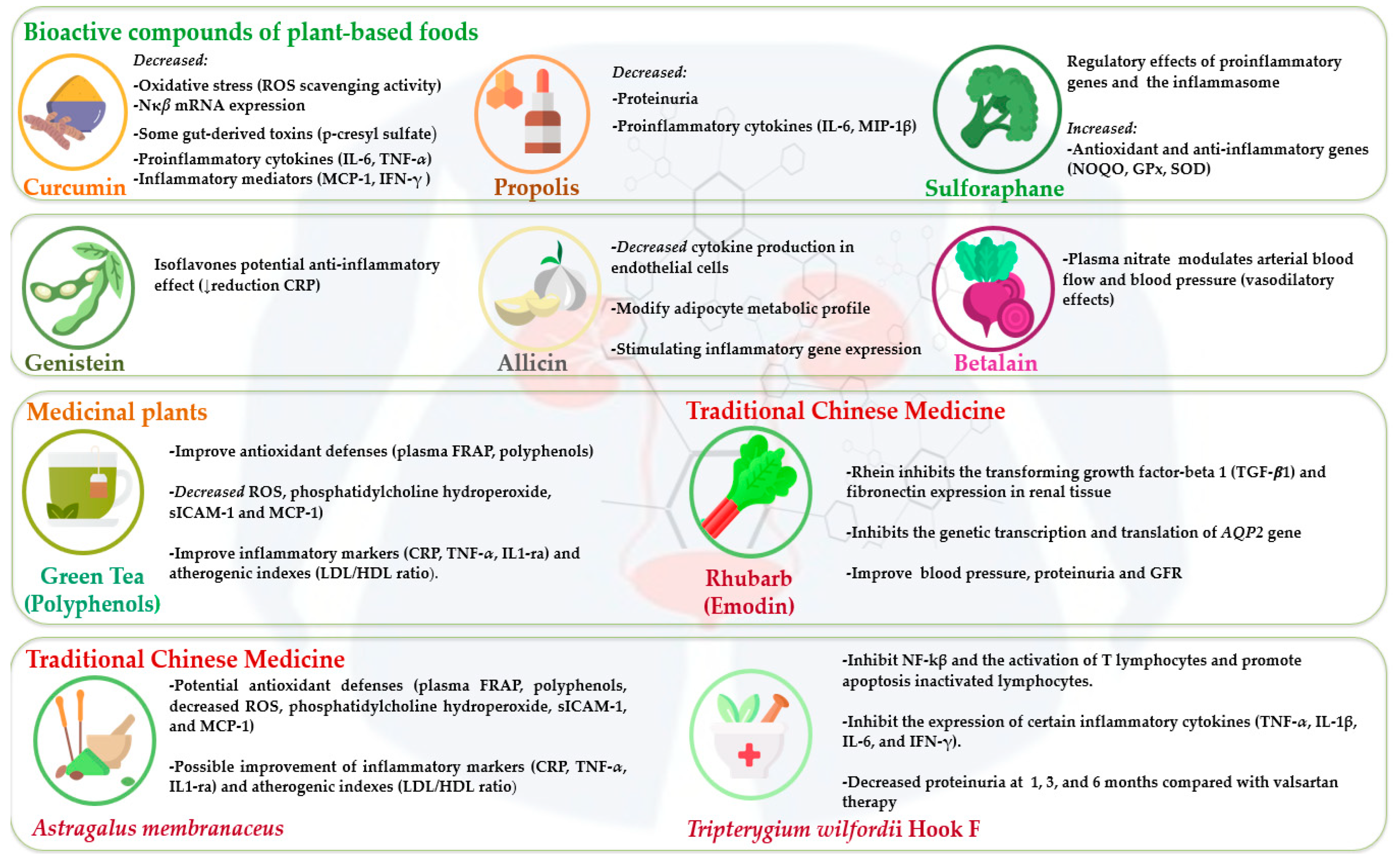 Nutrients 16 04321 g001 Nutrients 16 04321 g001
