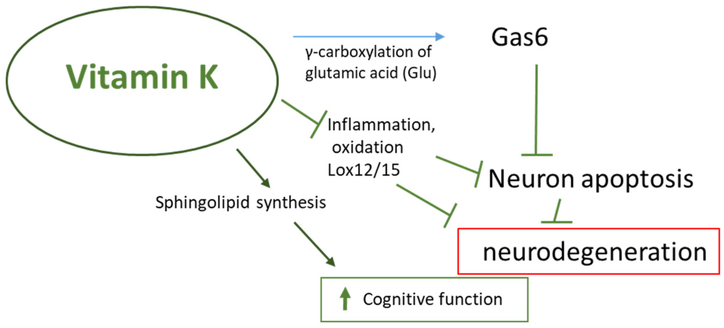 Nutrients 16 04341 g004