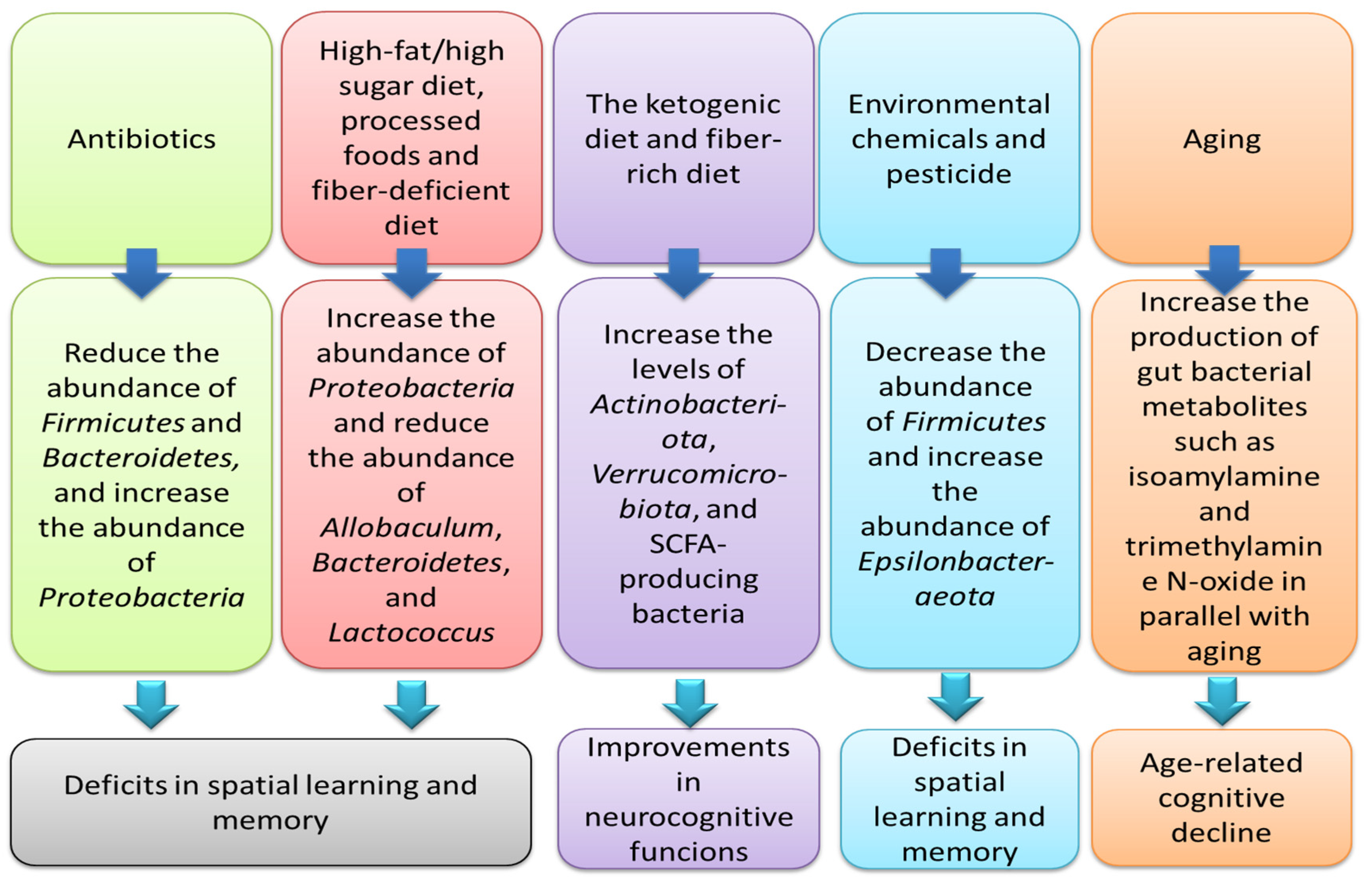 Nutrients 16 04355 g001
