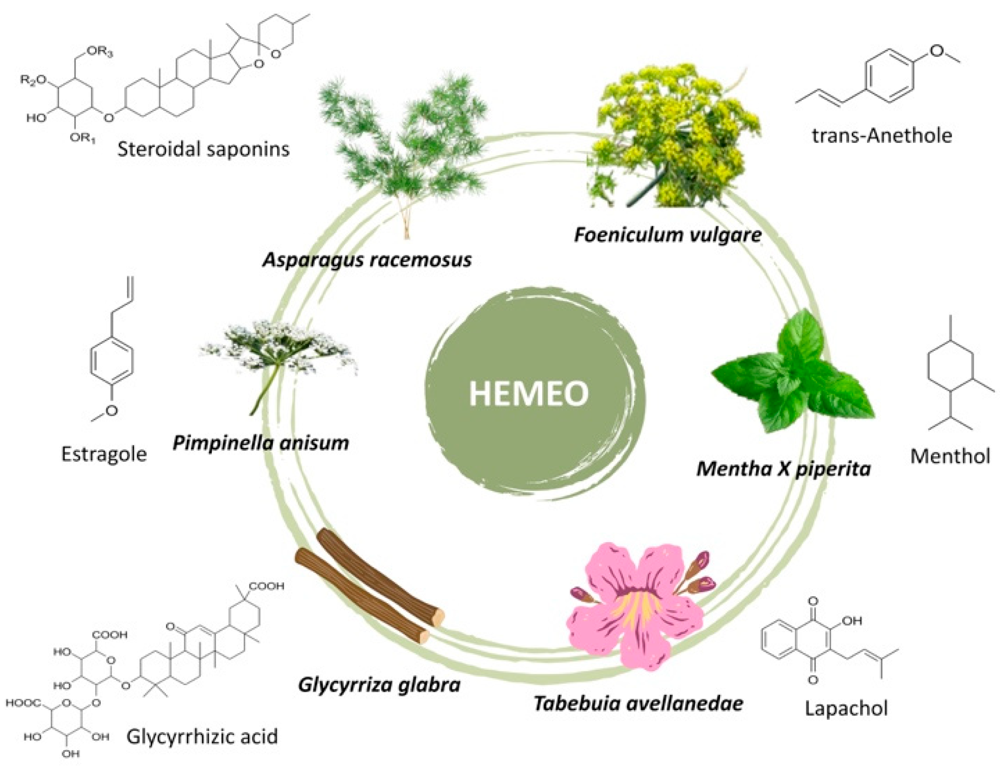 Nutrients 16 04357 g002