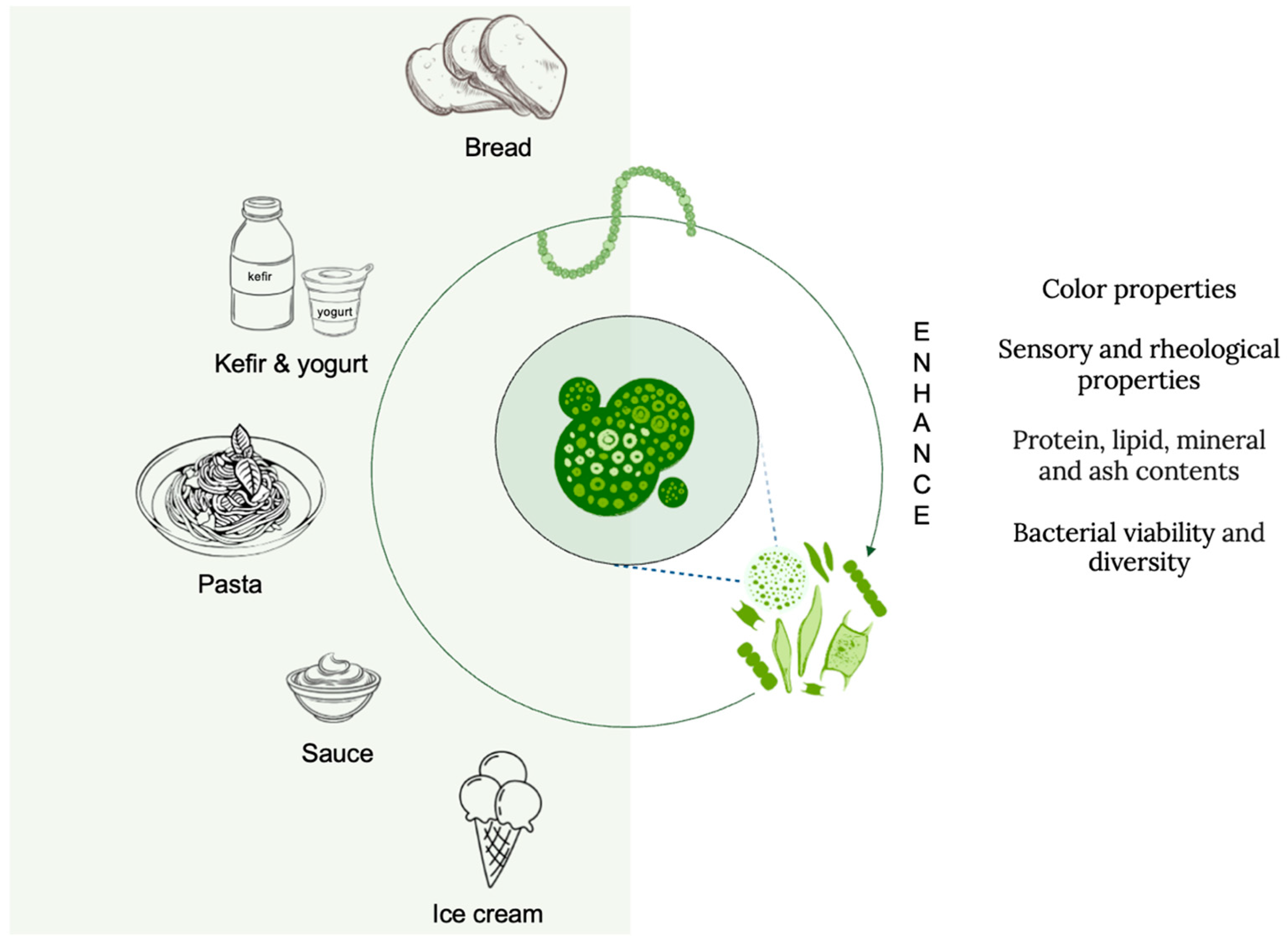 Nutrients 17 00093 g002
