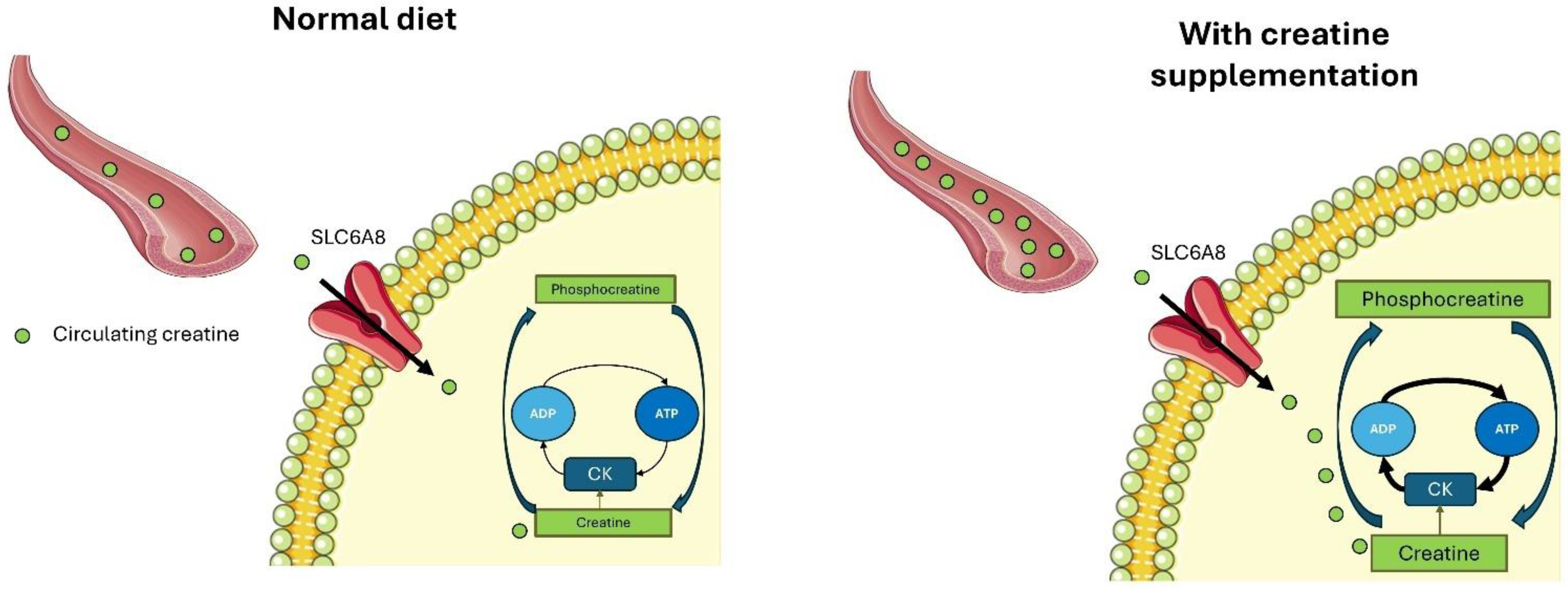 Nutrients 17 00095 g002