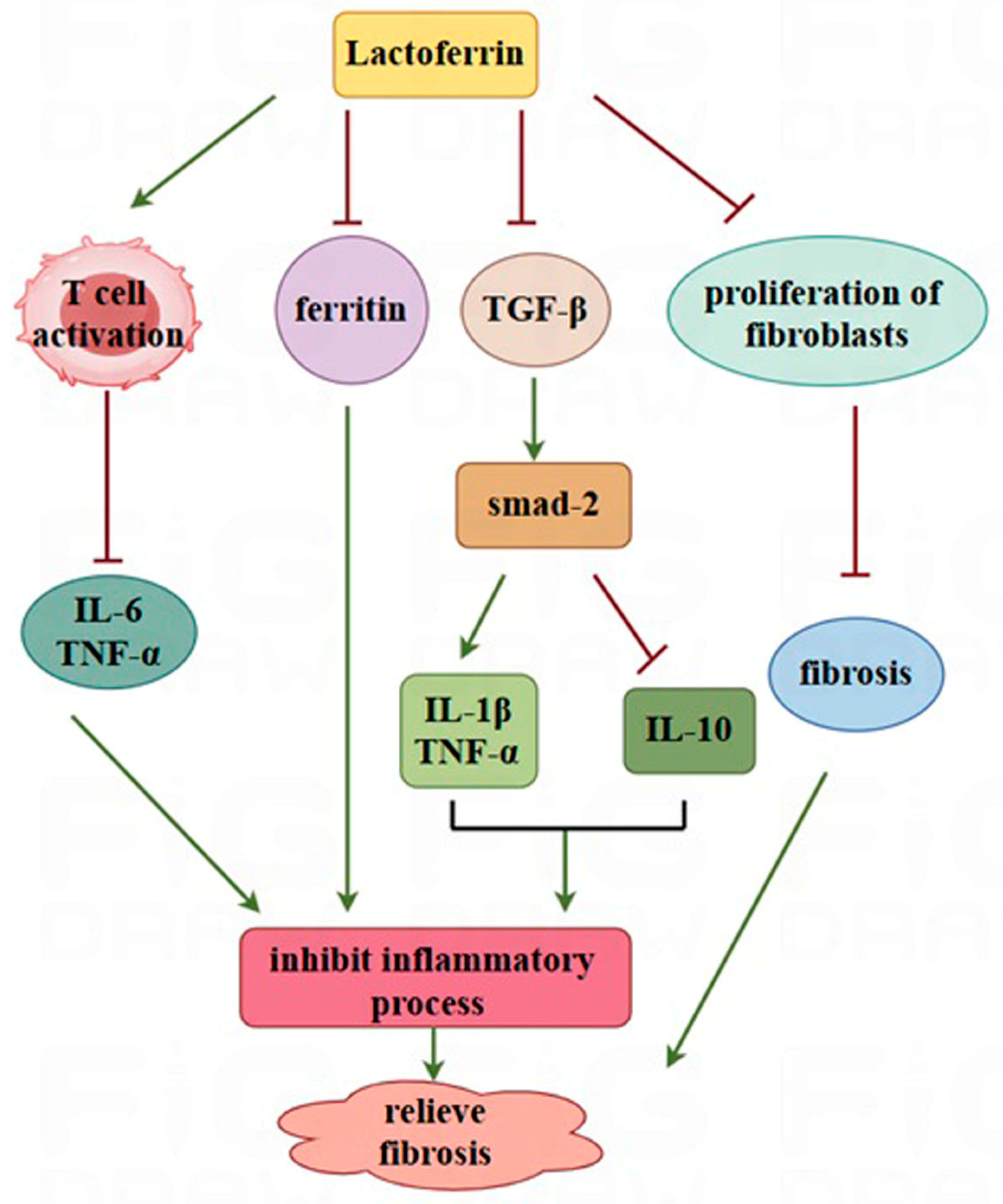 Nutrients 17 00197 g002