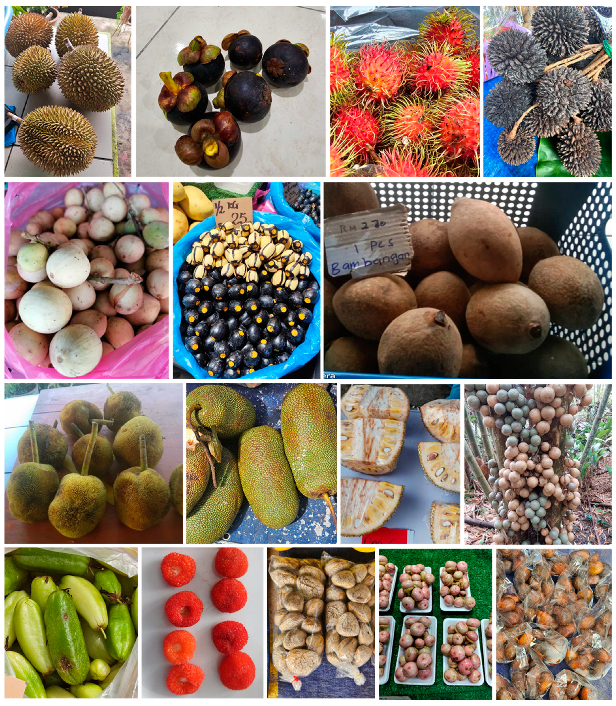 Nutrients 17 00200 g001 Nutrients 17 00200 g001