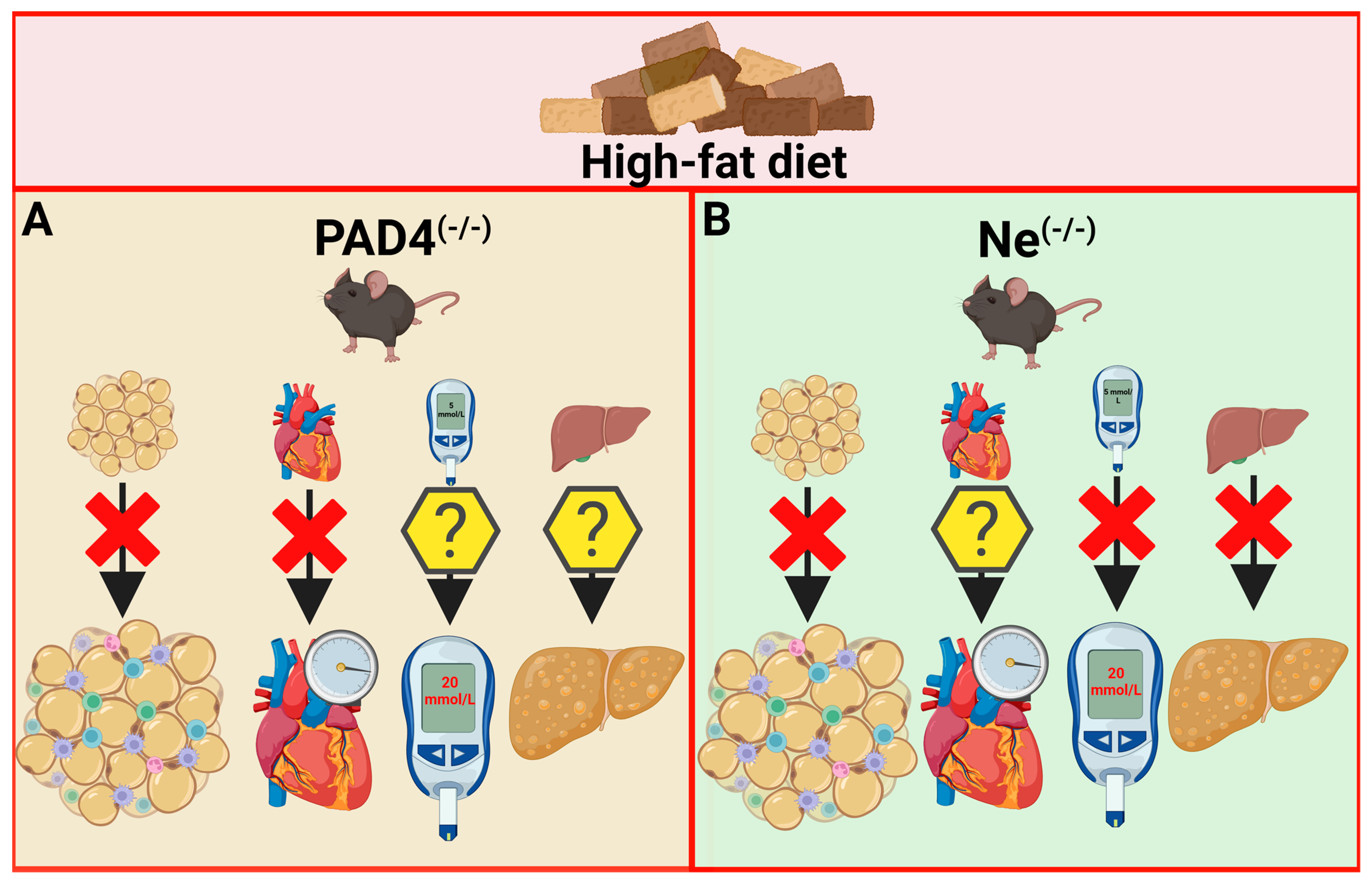 Nutrients 17 00241 g002 Nutrients 17 00241 g002
