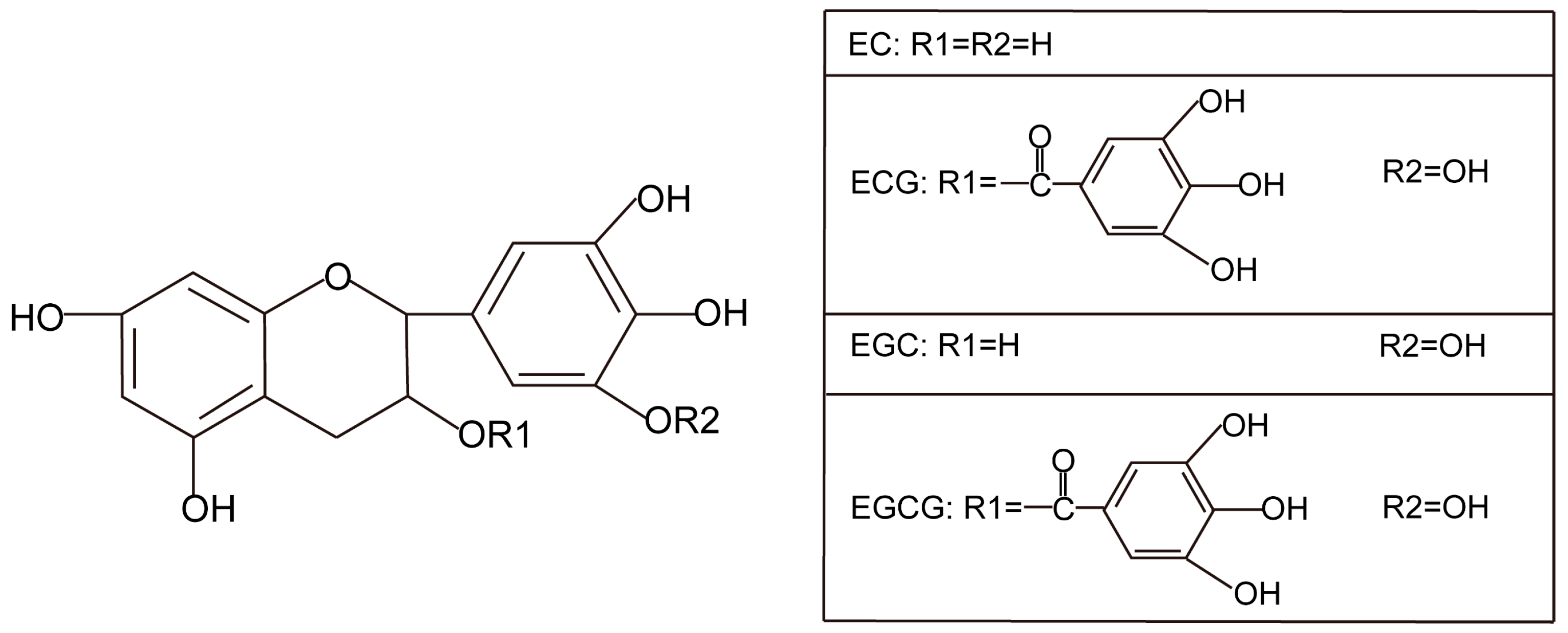 Nutrients 17 00259 g005