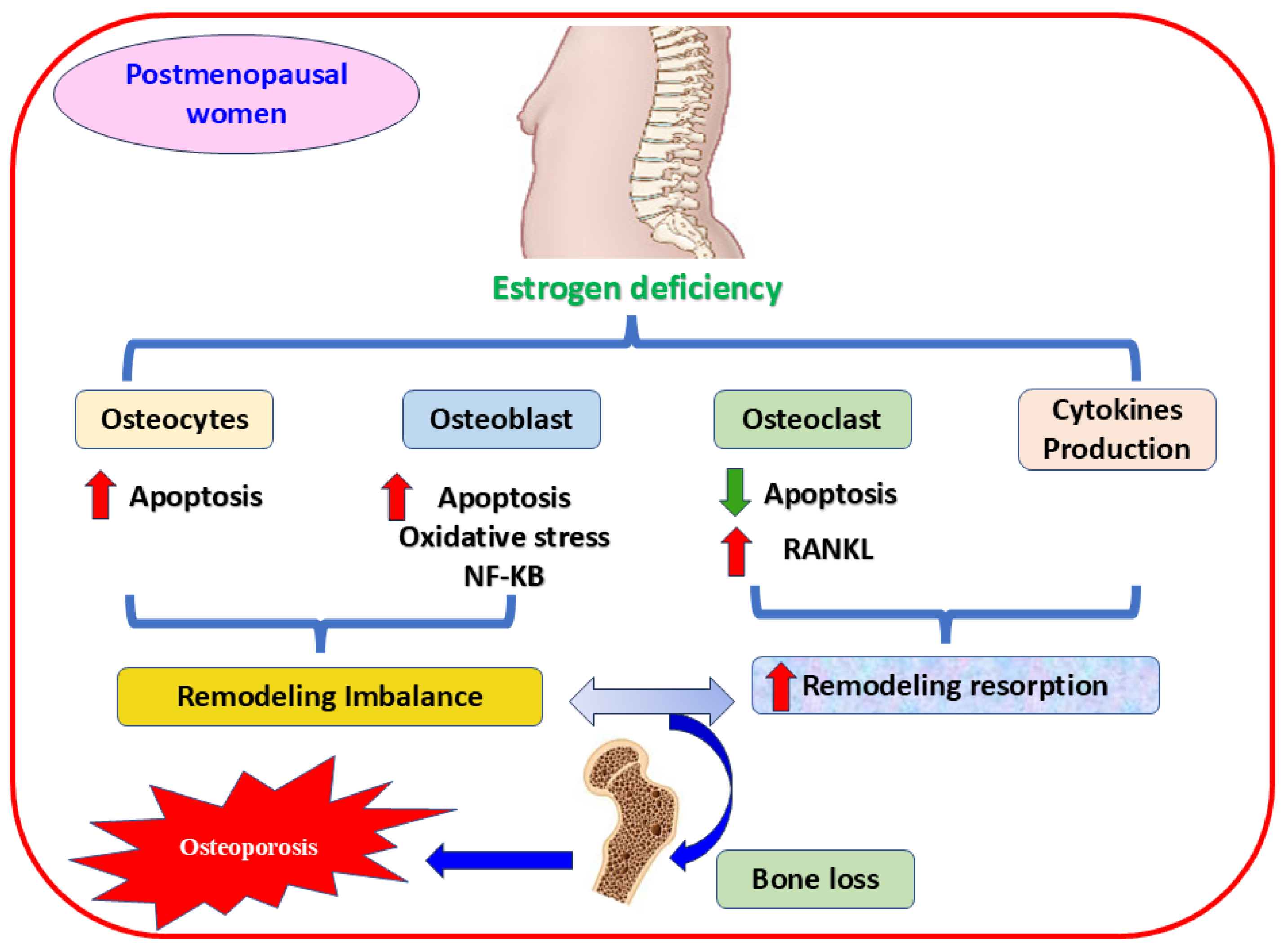 Nutrients 17 00267 g002