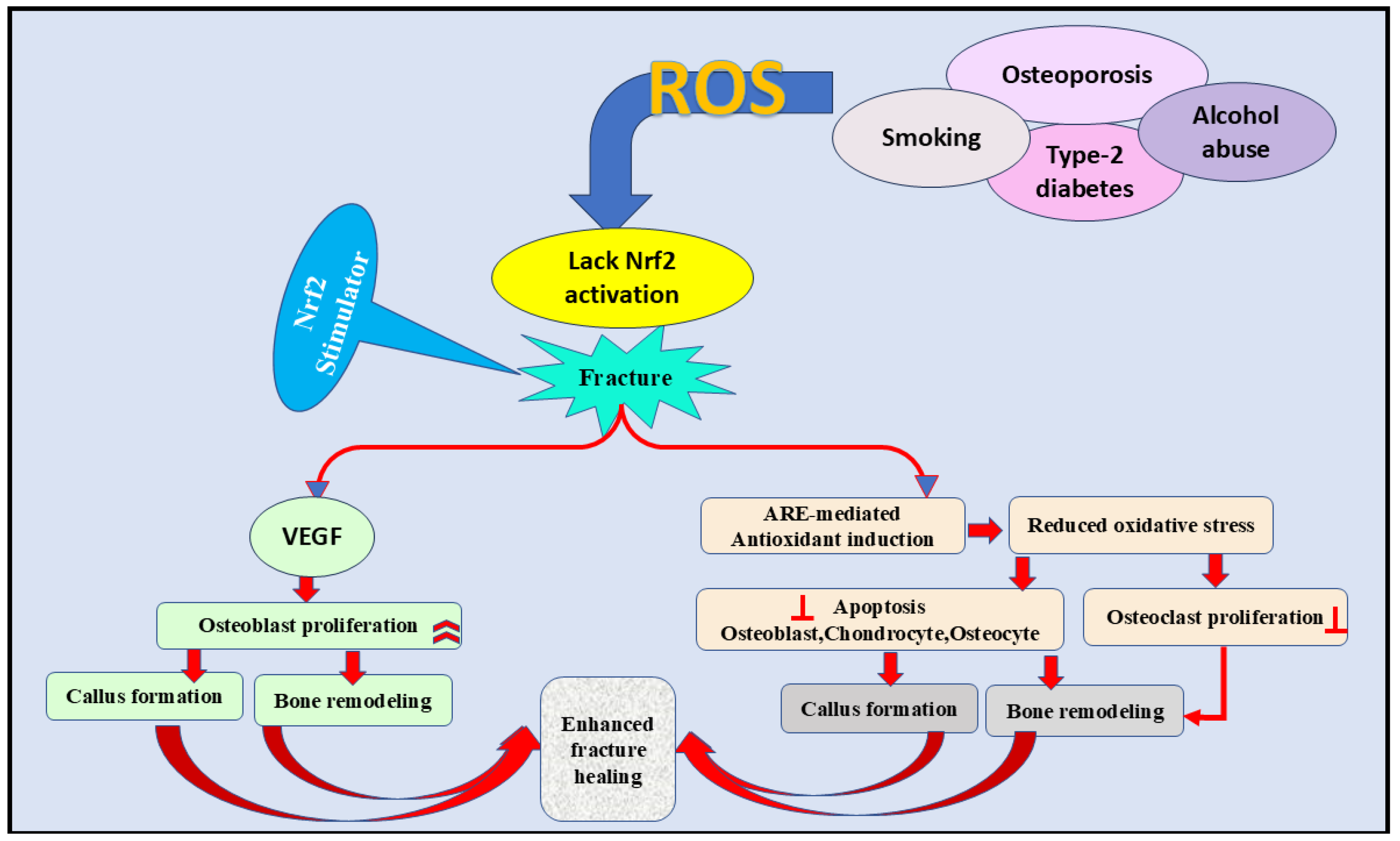 Nutrients 17 00267 g005
