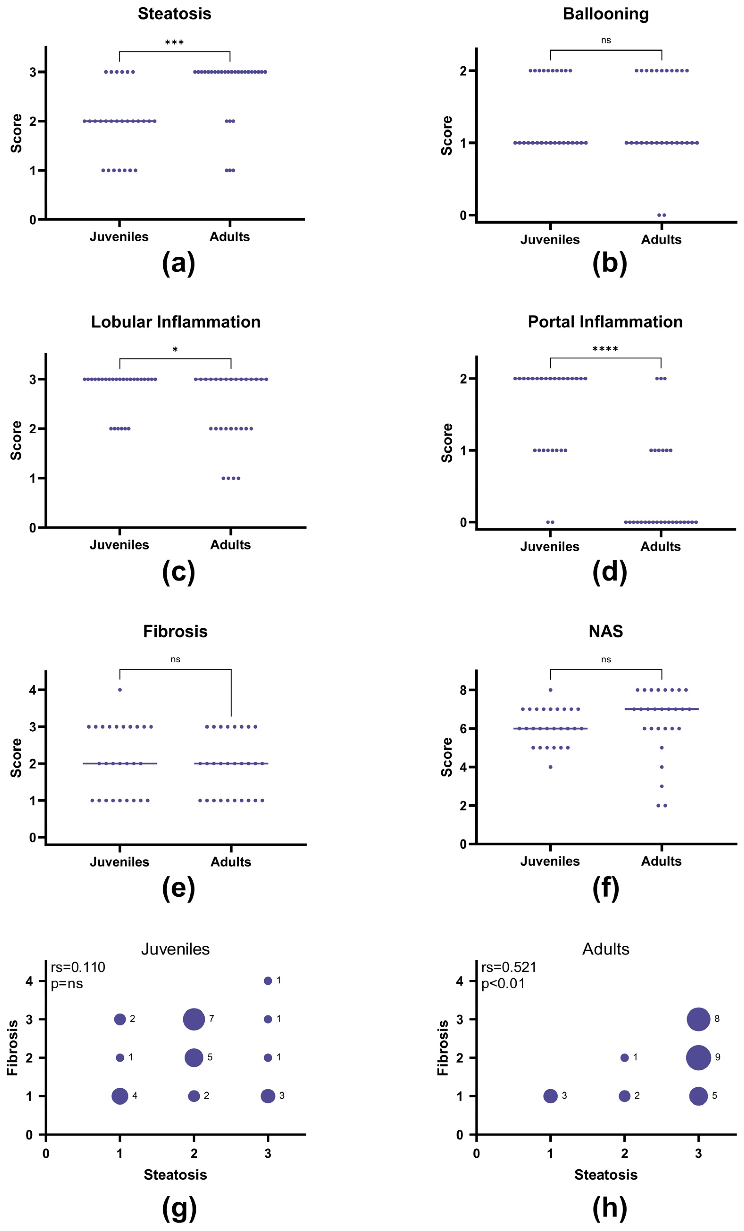 Nutrients 17 00291 g005 Nutrients 17 00291 g005