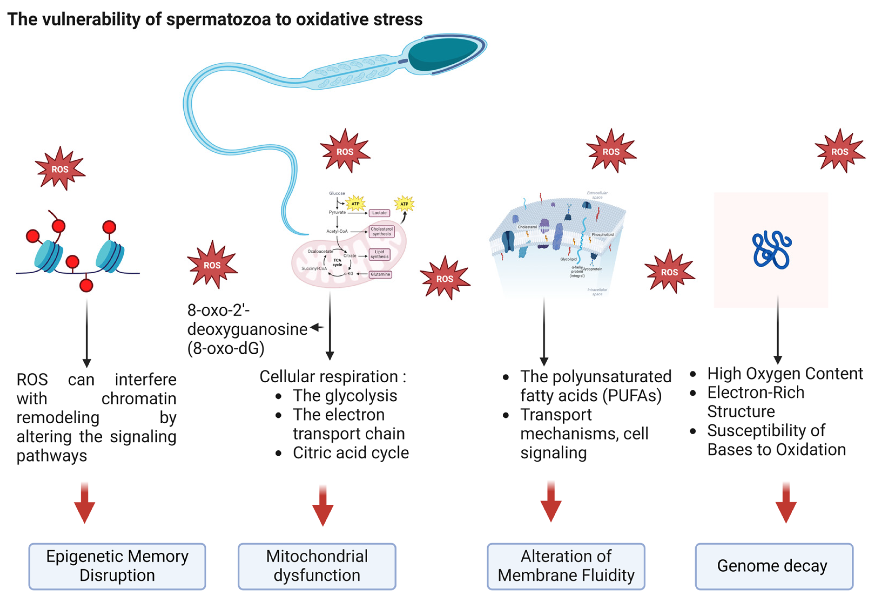 Nutrients 17 00324 g001