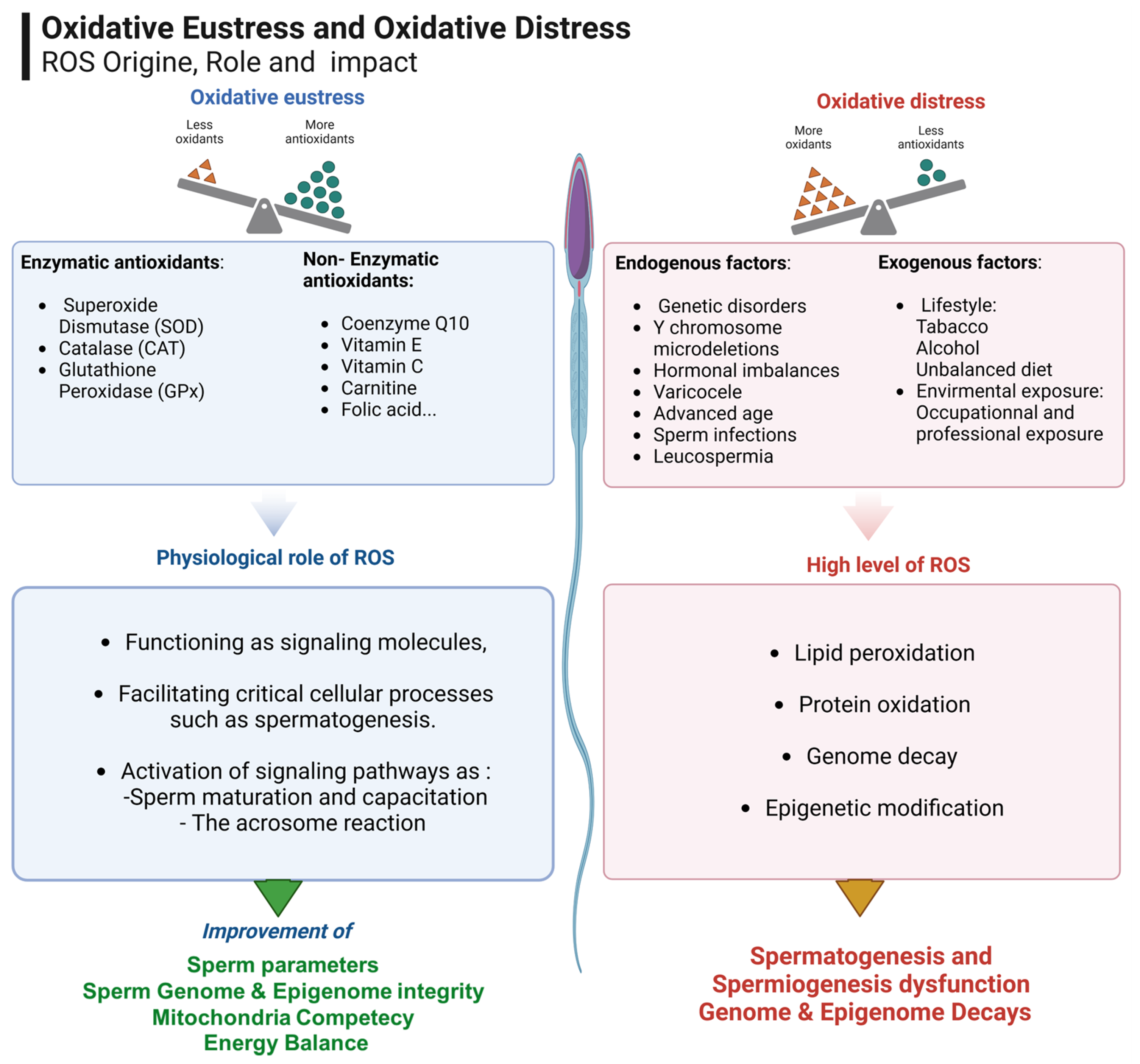 Nutrients 17 00324 g002