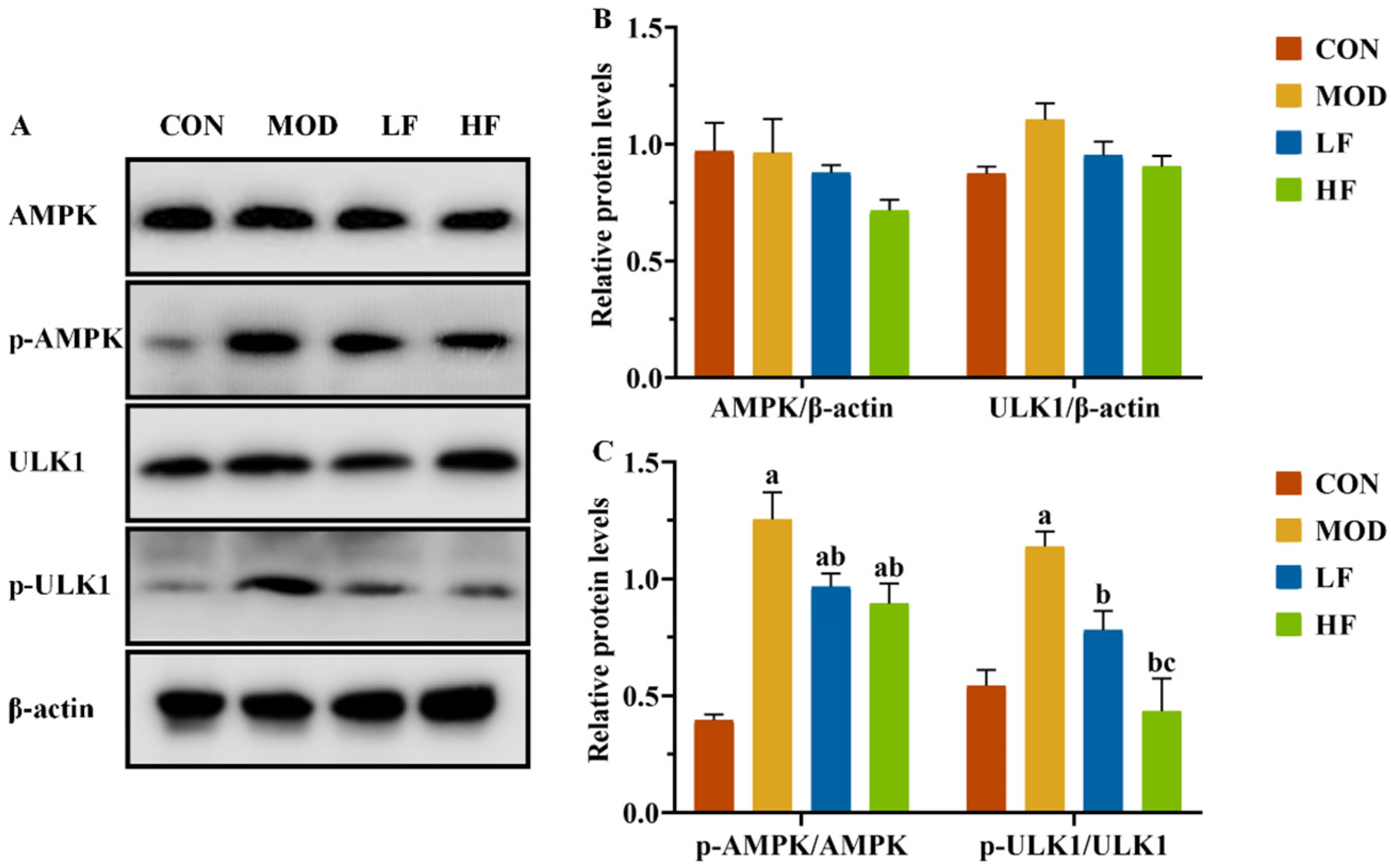 Nutrients 17 00325 g006