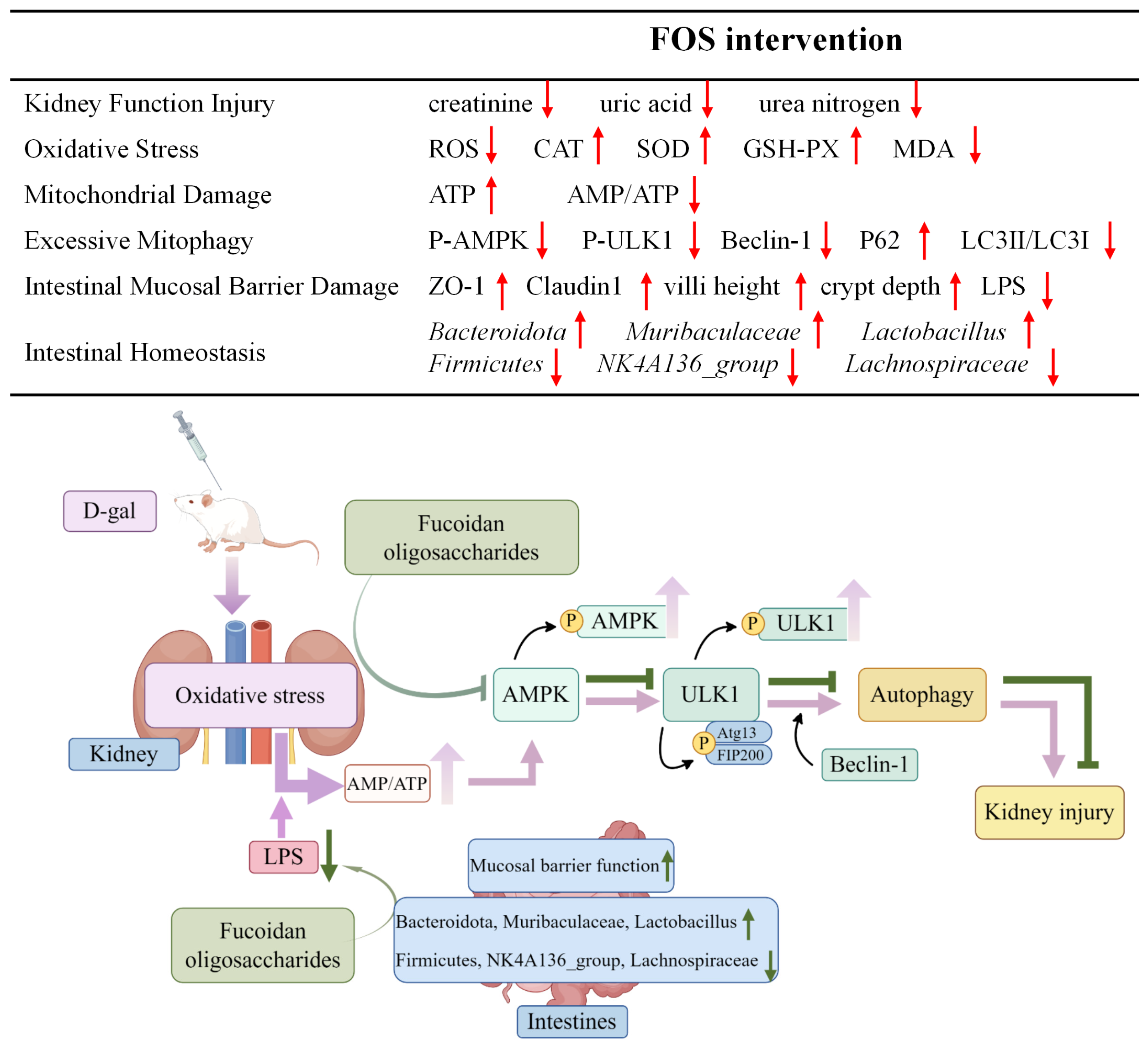 Nutrients 17 00325 g013