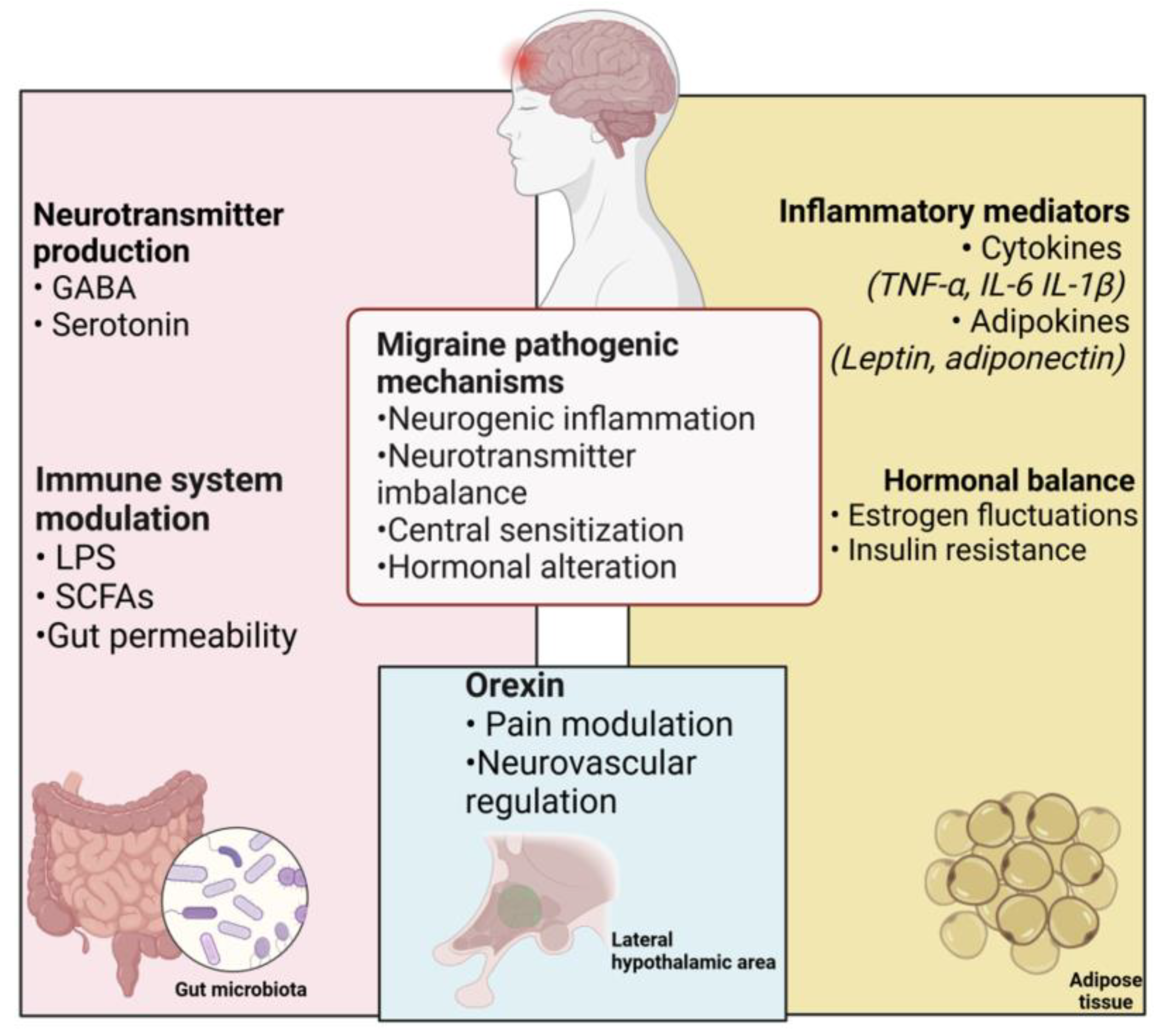 Nutrients 17 00337 g001 Nutrients 17 00337 g001