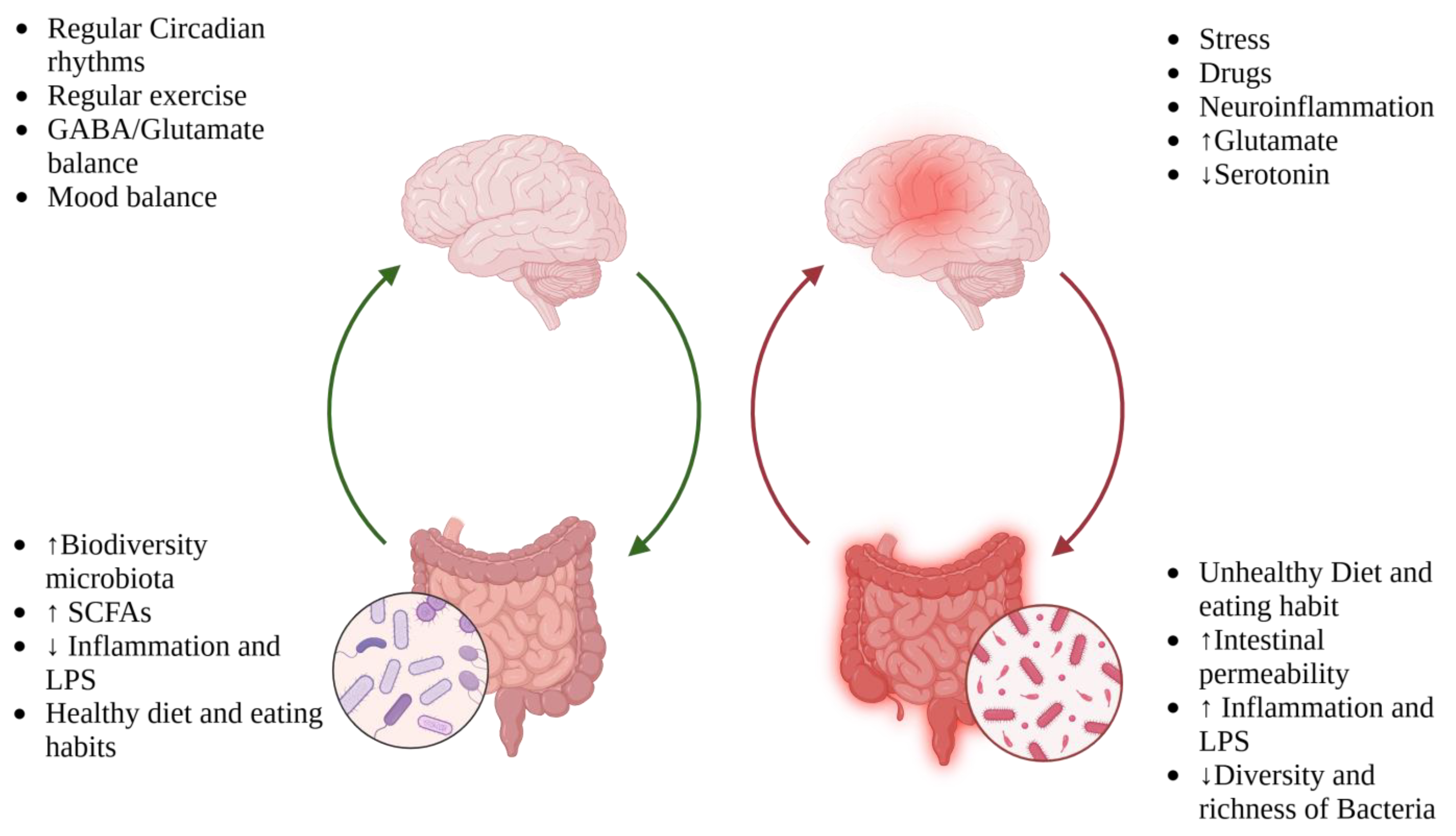 Nutrients 17 00337 g002 Nutrients 17 00337 g002
